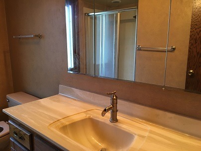 772 Halbert Lane Inverness, IL 60010 - Photo 11 of 22