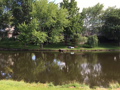 772 Halbert Lane Inverness, IL 60010 - Photo 22 of 22