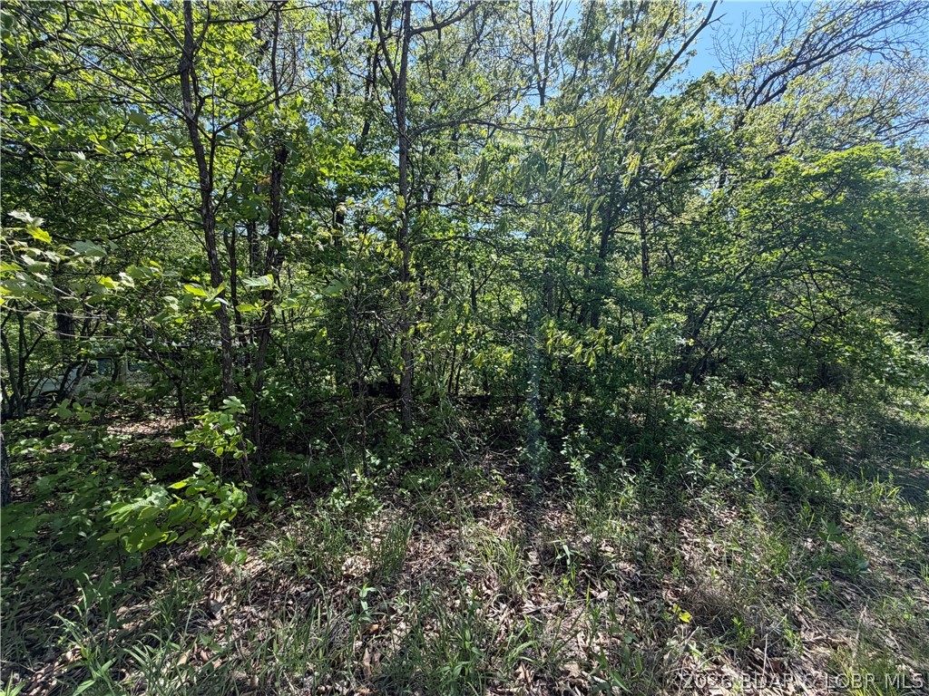 10-acres Ivy Bend Road Stover, MO 65078 - Photo 4 of 12