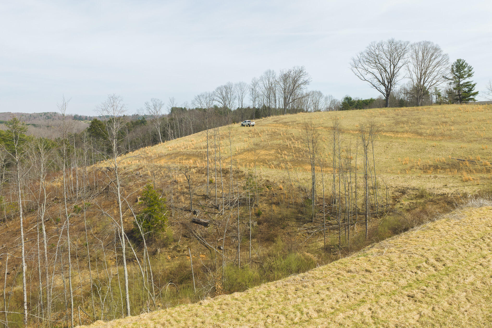 Tbd Carsonville Road Fries, VA 24330 - Photo 11 of 43 a view of a lake view