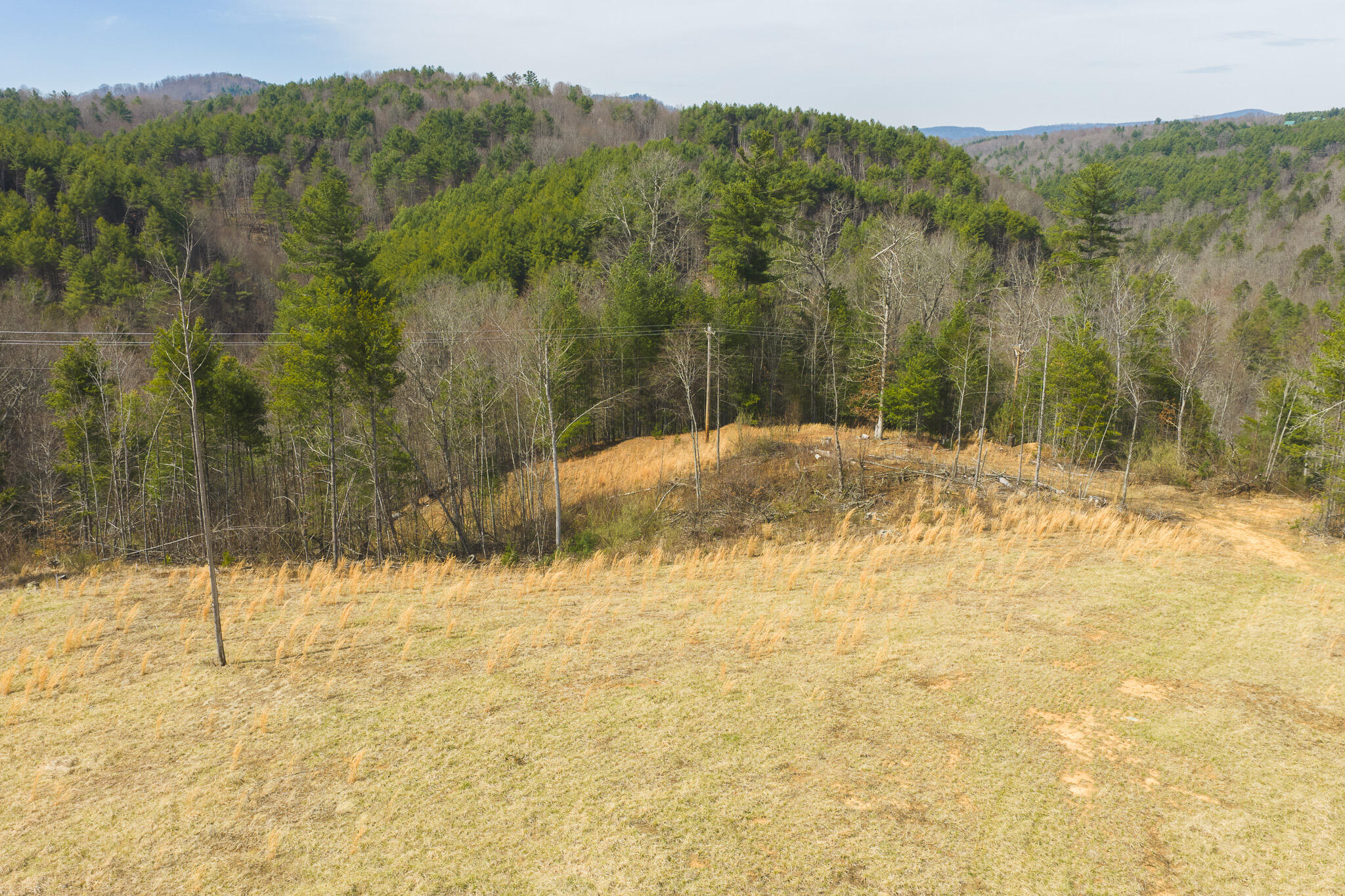 Tbd Carsonville Road Fries, VA 24330 - Photo 14 of 43 a view of a yard with an trees