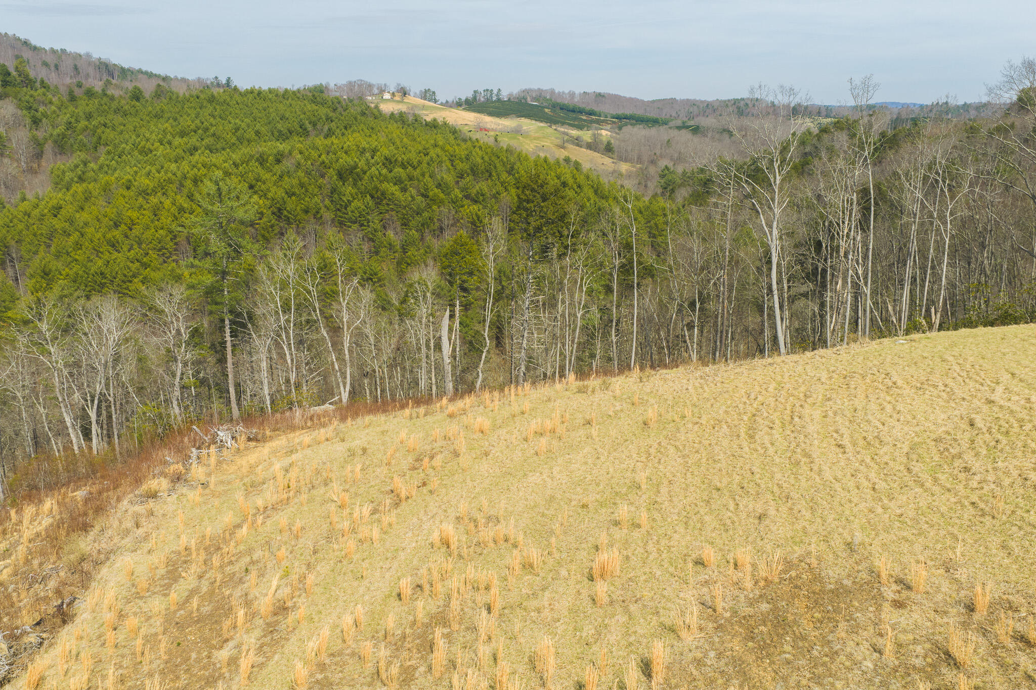Tbd Carsonville Road Fries, VA 24330 - Photo 15 of 43 a view of a yard
