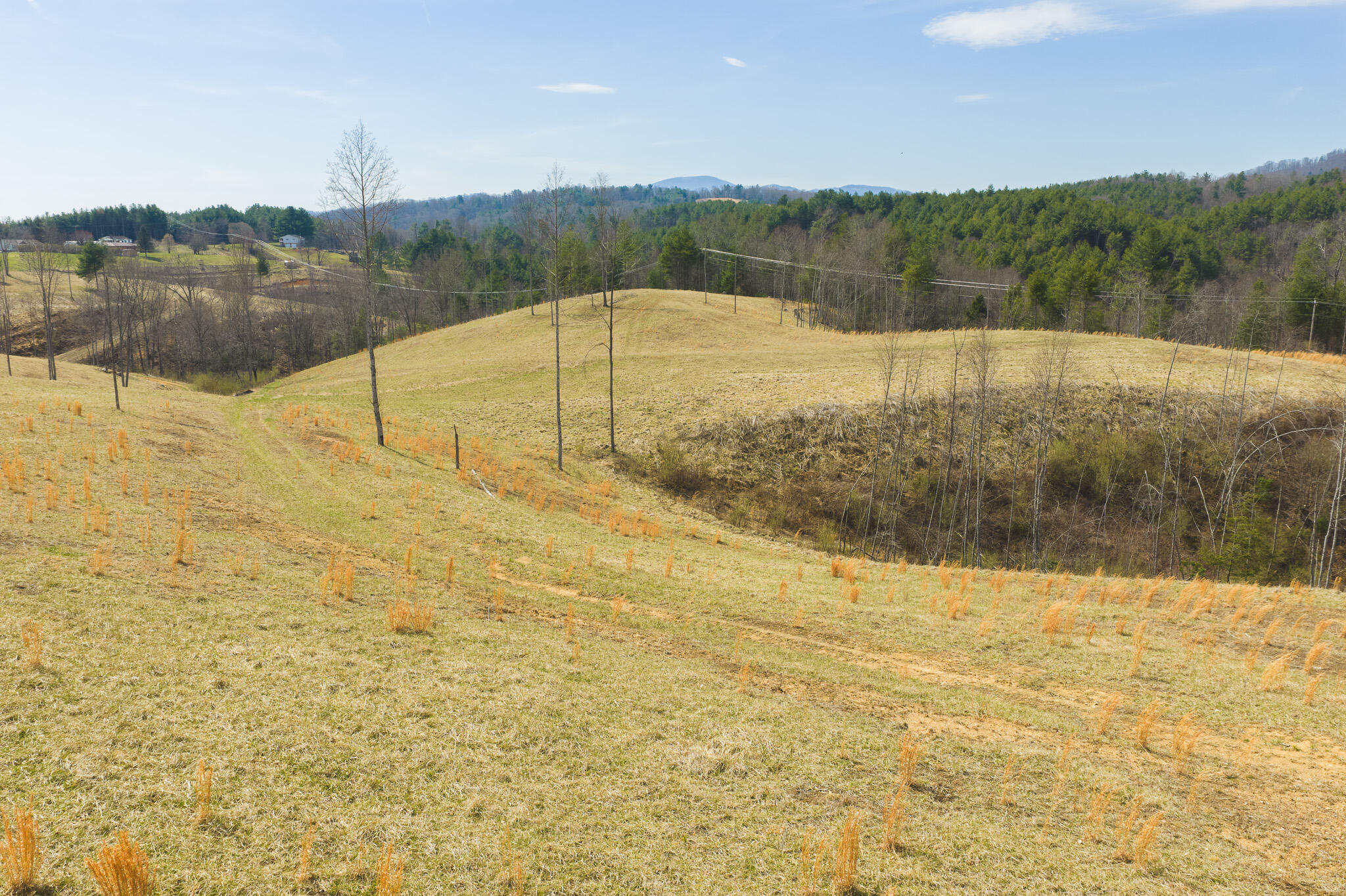 Tbd Carsonville Road Fries, VA 24330 - Photo 16 of 43 a view of lake with green space
