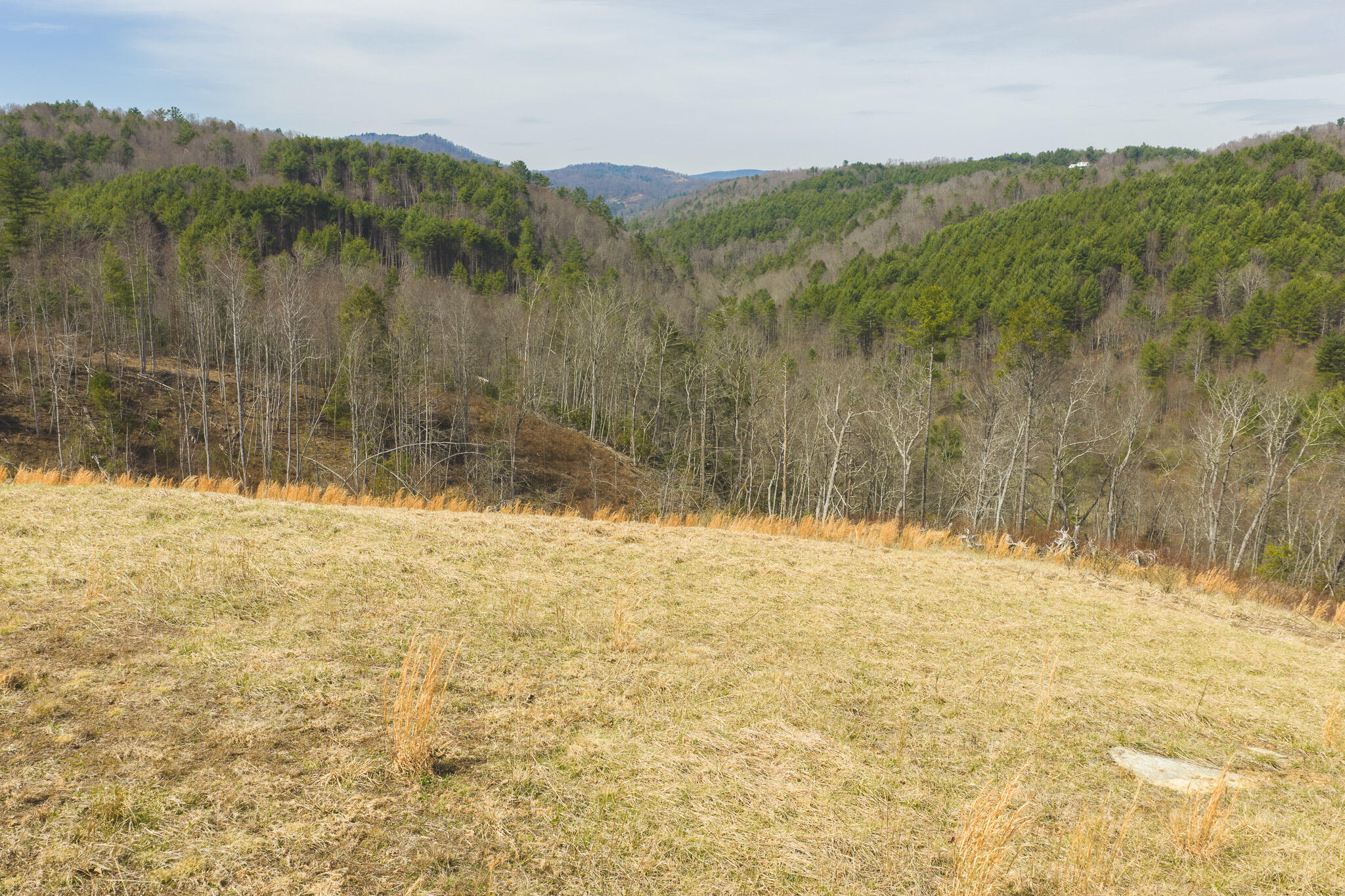 Tbd Carsonville Road Fries, VA 24330 - Photo 2 of 43 a view of small yard
