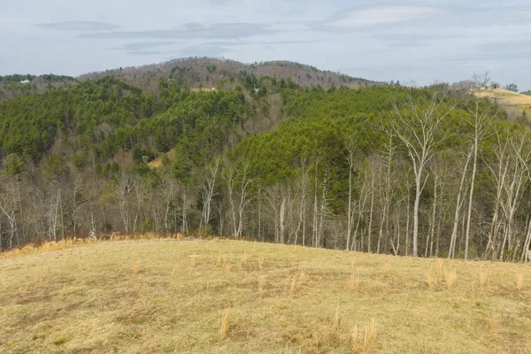 a view of an outdoor space