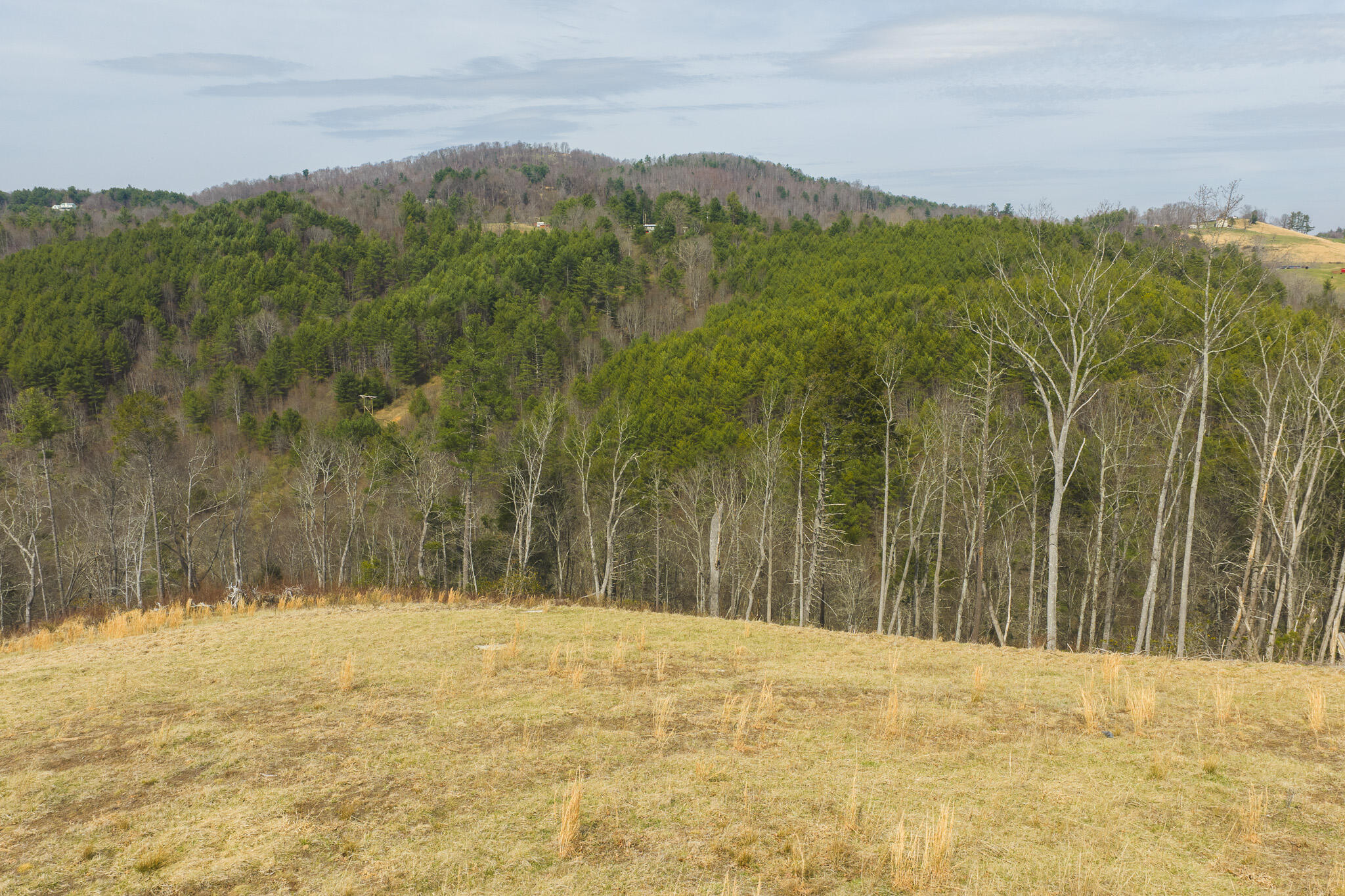 Tbd Carsonville Road Fries, VA 24330 - Photo 21 of 43