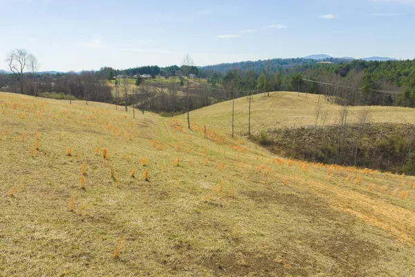 a view of mountain view