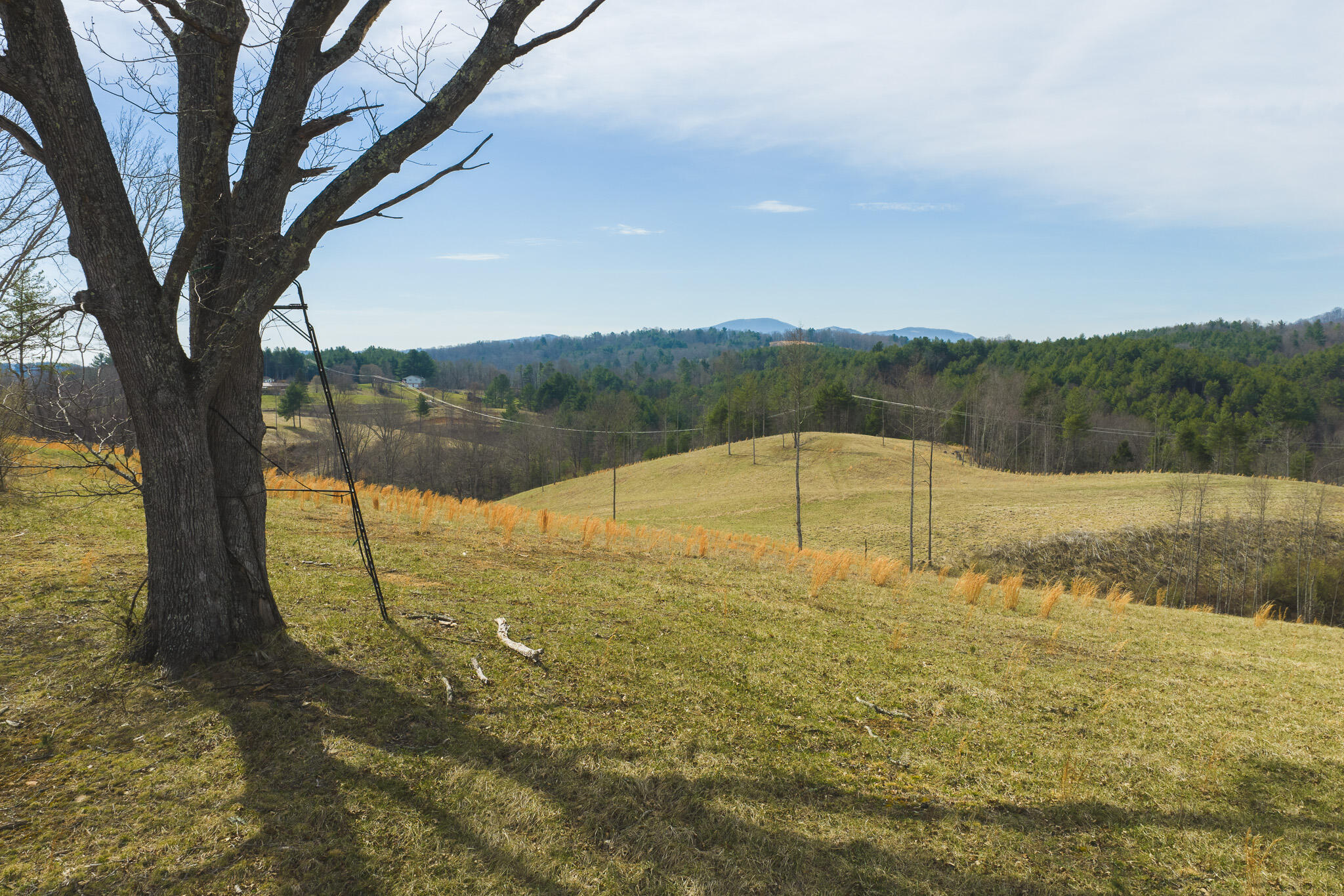 Tbd Carsonville Road Fries, VA 24330 - Photo 23 of 43 a view of an outdoor space