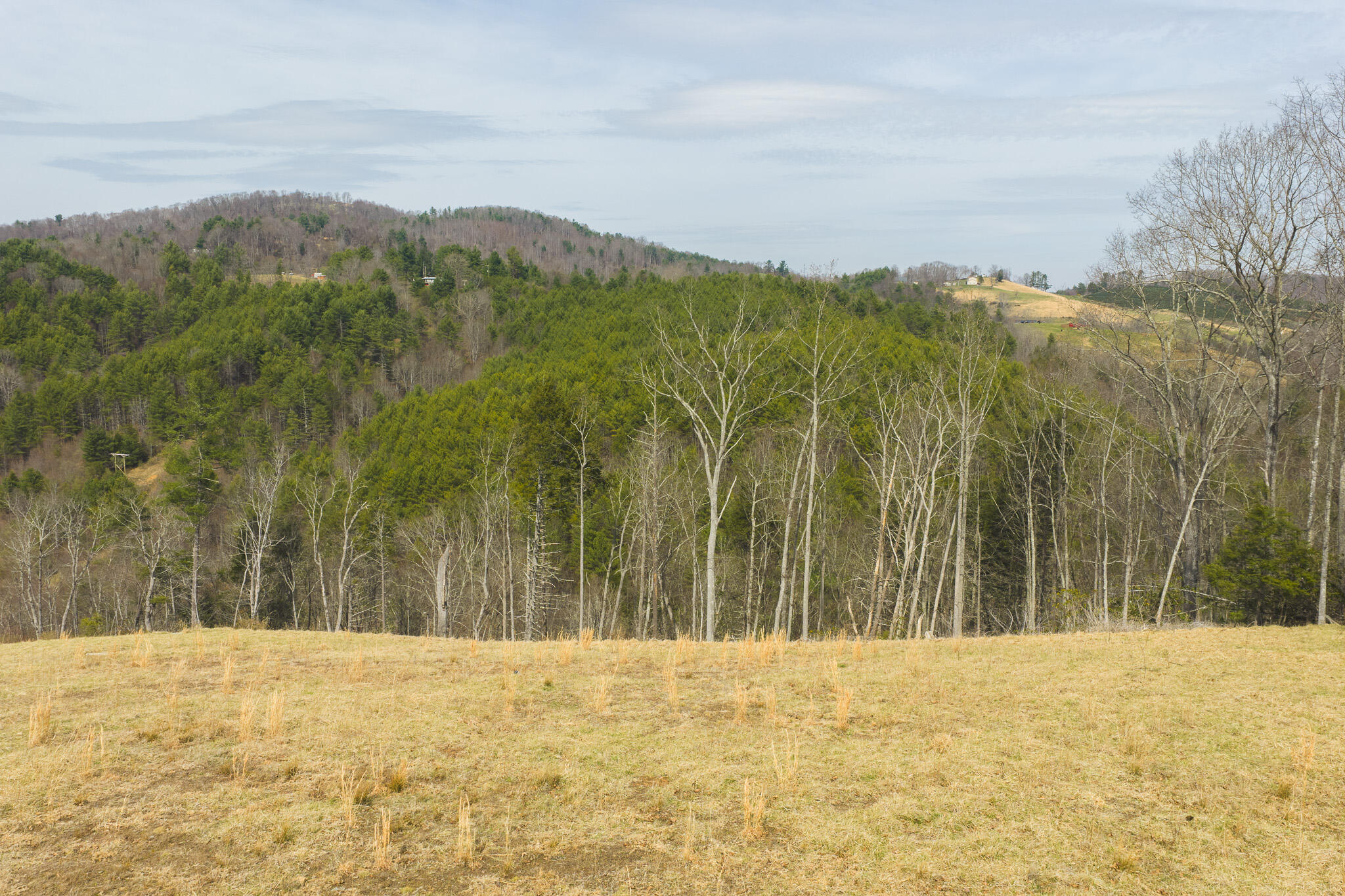 Tbd Carsonville Road Fries, VA 24330 - Photo 24 of 43 a view of mountain view