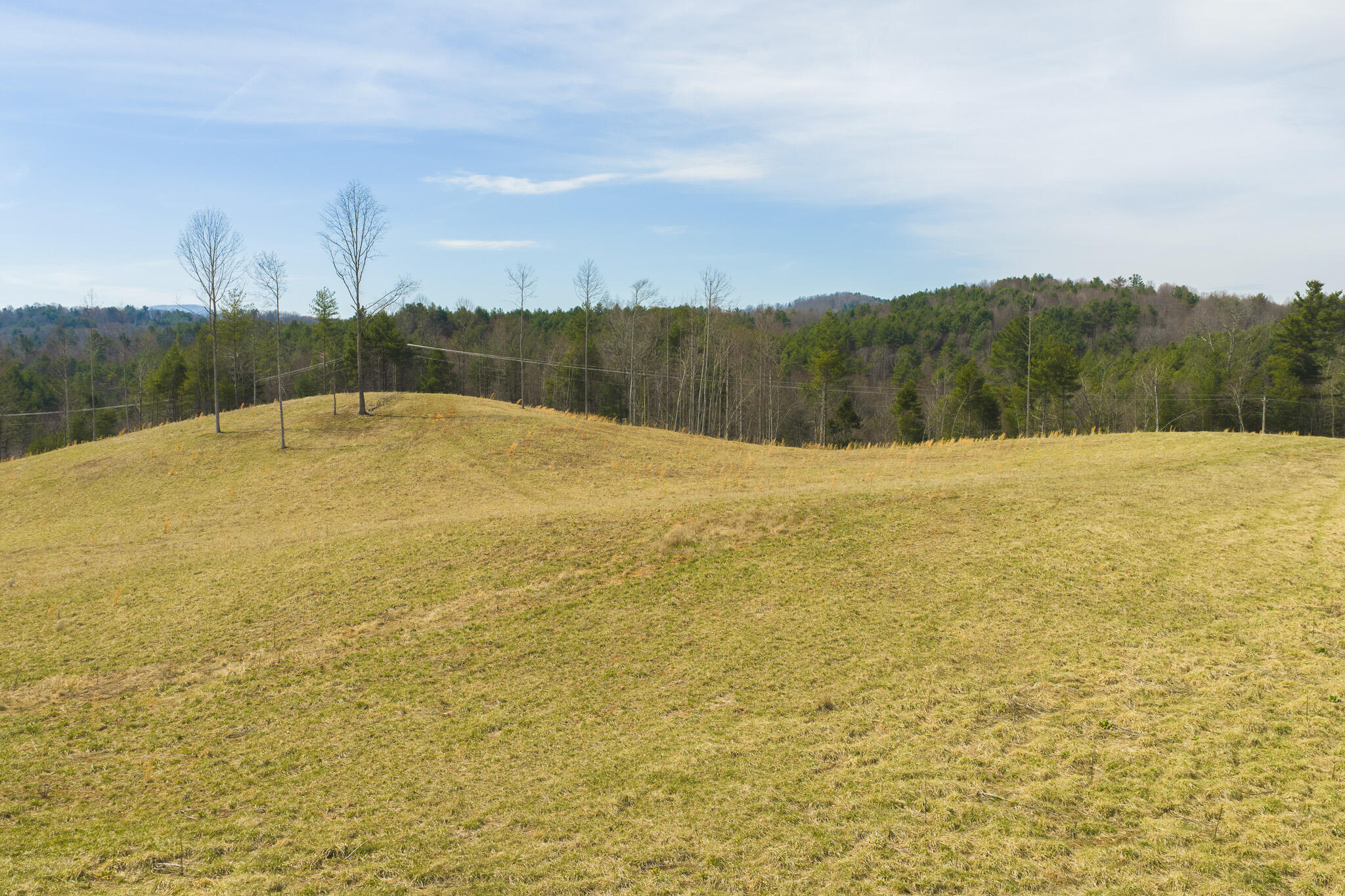 Tbd Carsonville Road Fries, VA 24330 - Photo 4 of 43