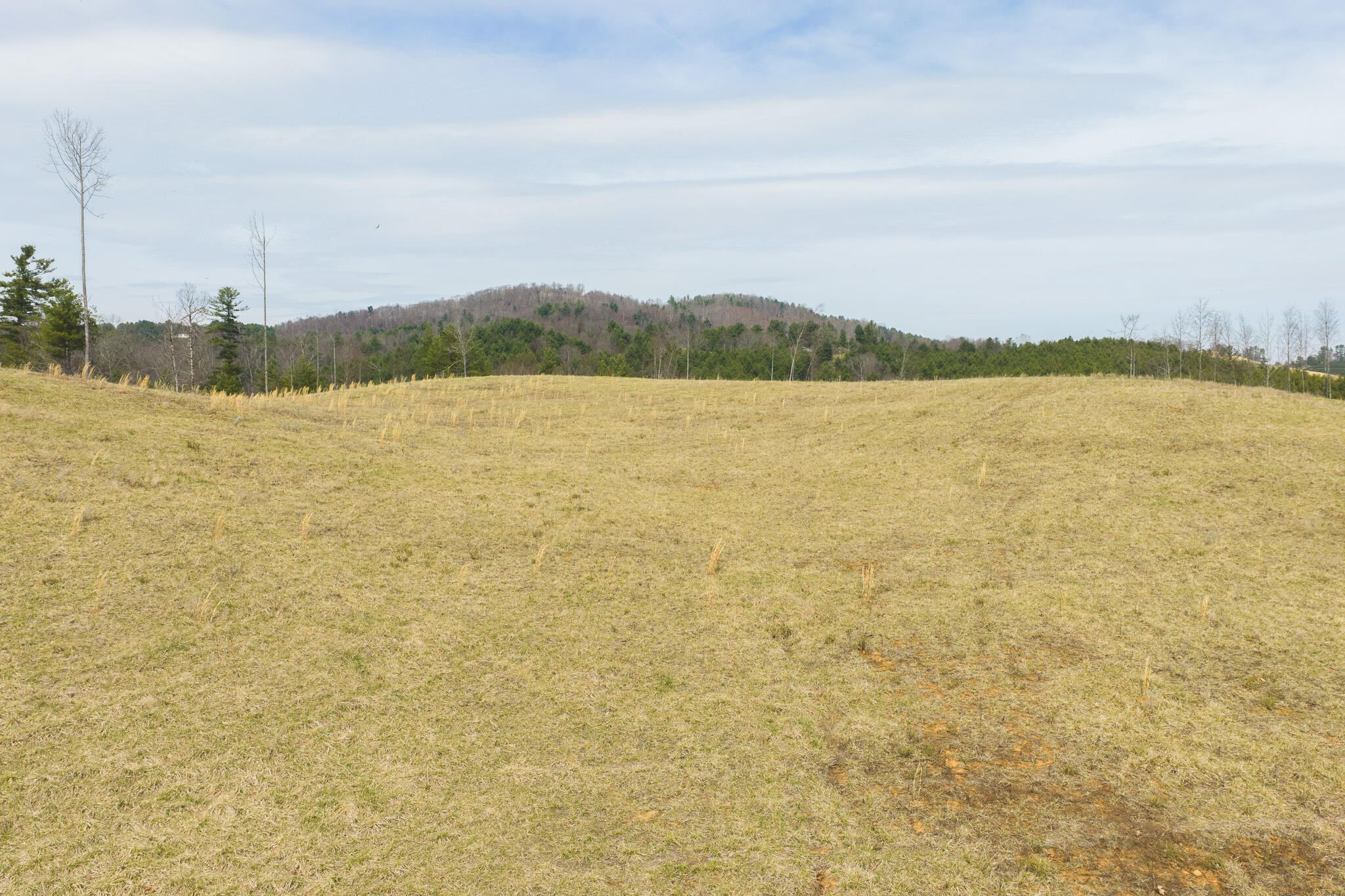 Tbd Carsonville Road Fries, VA 24330 - Photo 8 of 43 a view of lake