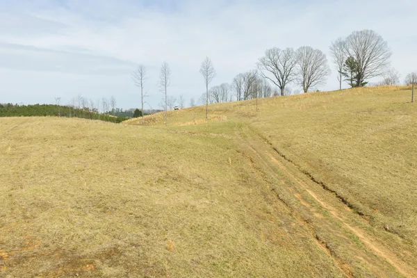a view of a backyard of the house