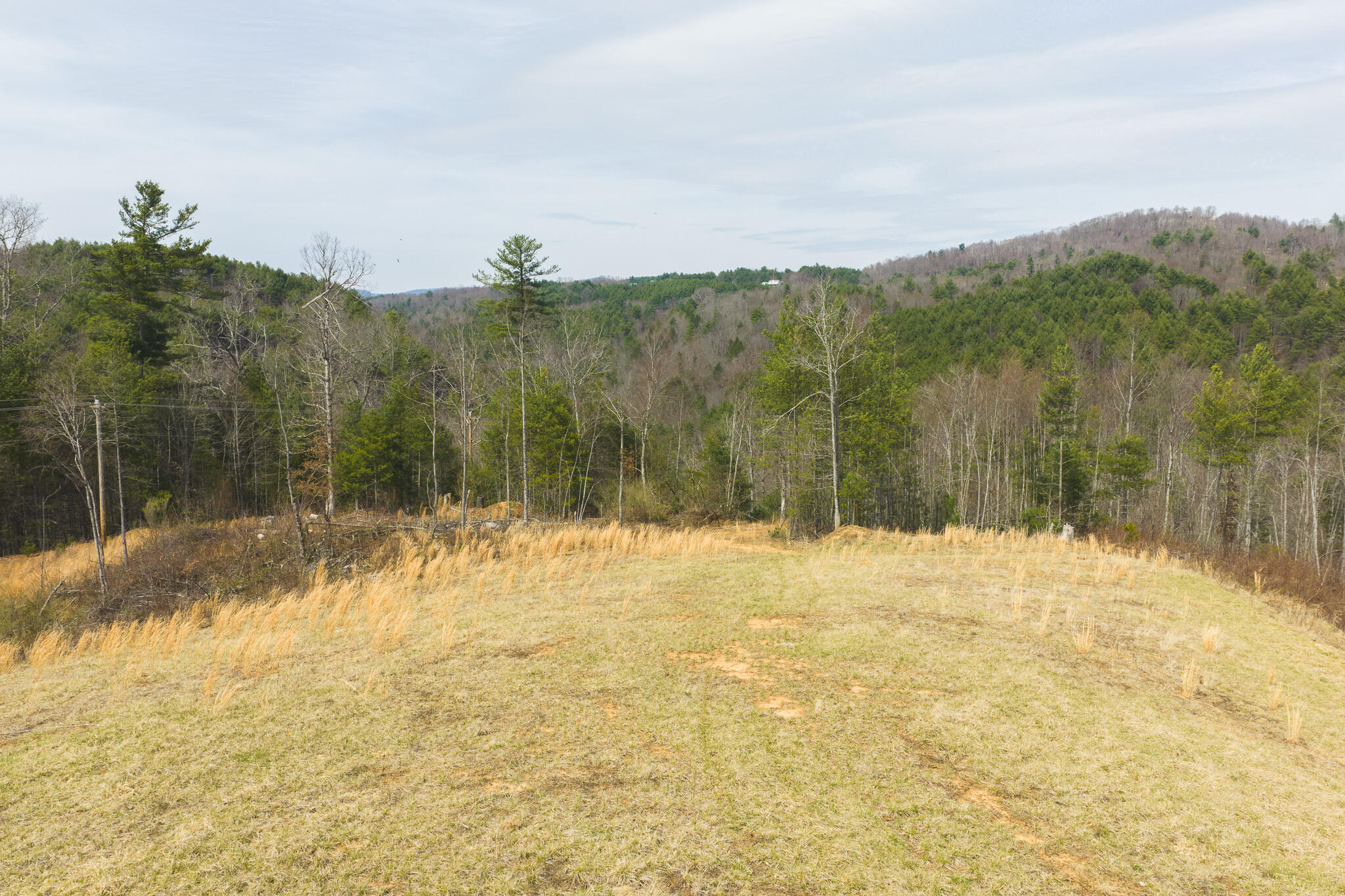 Tbd Carsonville Road Fries, VA 24330 - Photo 10 of 43 a view of a backyard of the house