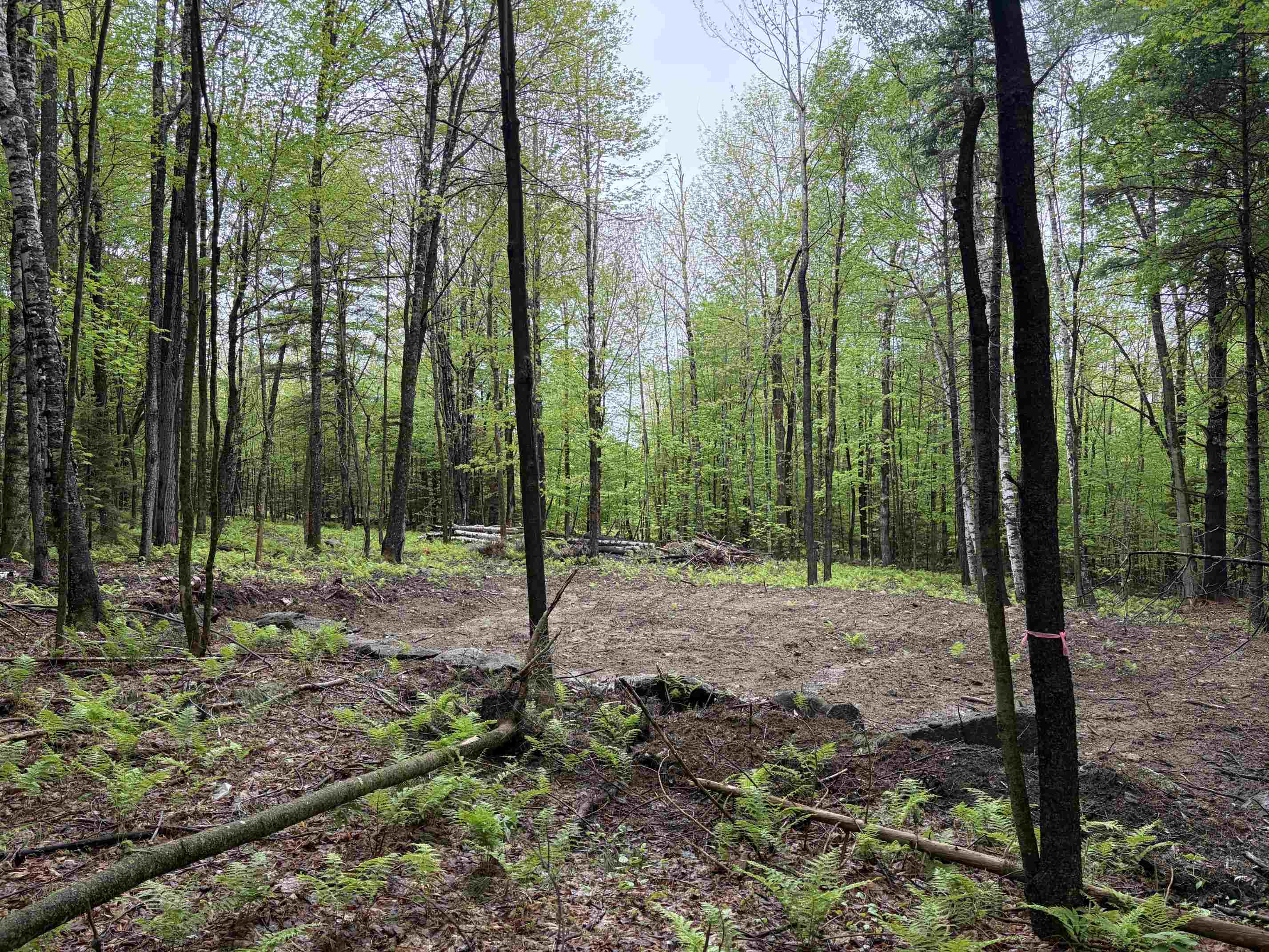 114 Lewis Hill Road Bethlehem, NH 03574 - Photo 2 of 12