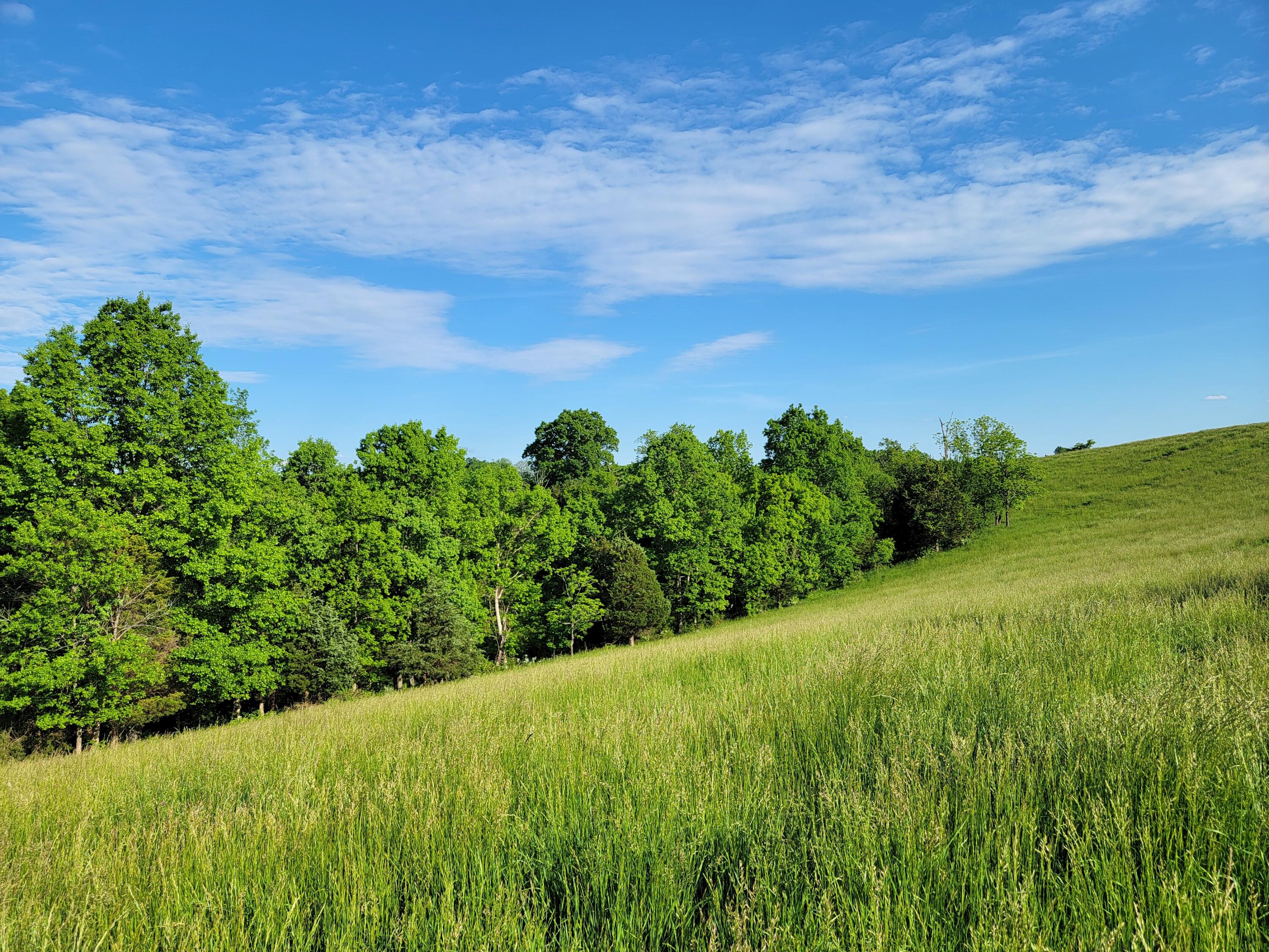 119-acres Keefer Road Corinth, KY 41010 - Photo 23 of 44 Gallery Image 23
