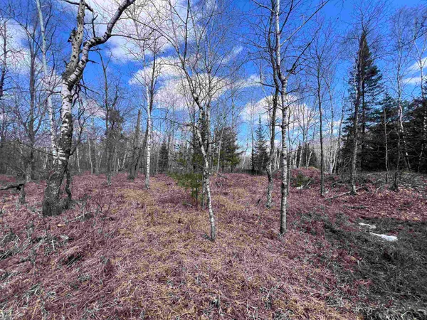 $37,500 | Nejedlo Road, Unit 4, Wausaukee, WI 54177