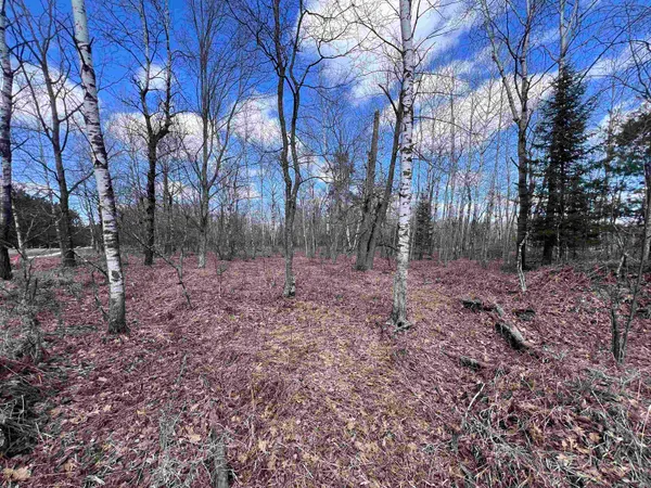 $37,500 | Nejedlo Road, Unit 4, Wausaukee, WI 54177