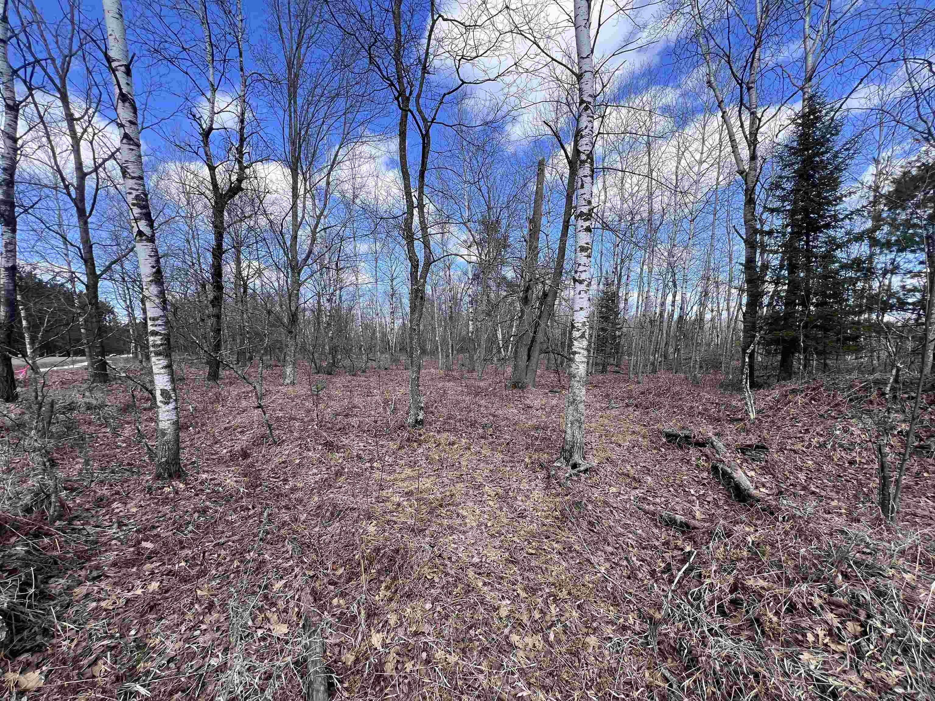 Nejedlo Road, Unit 4 Wausaukee, WI 54177 - Photo 2 of 5