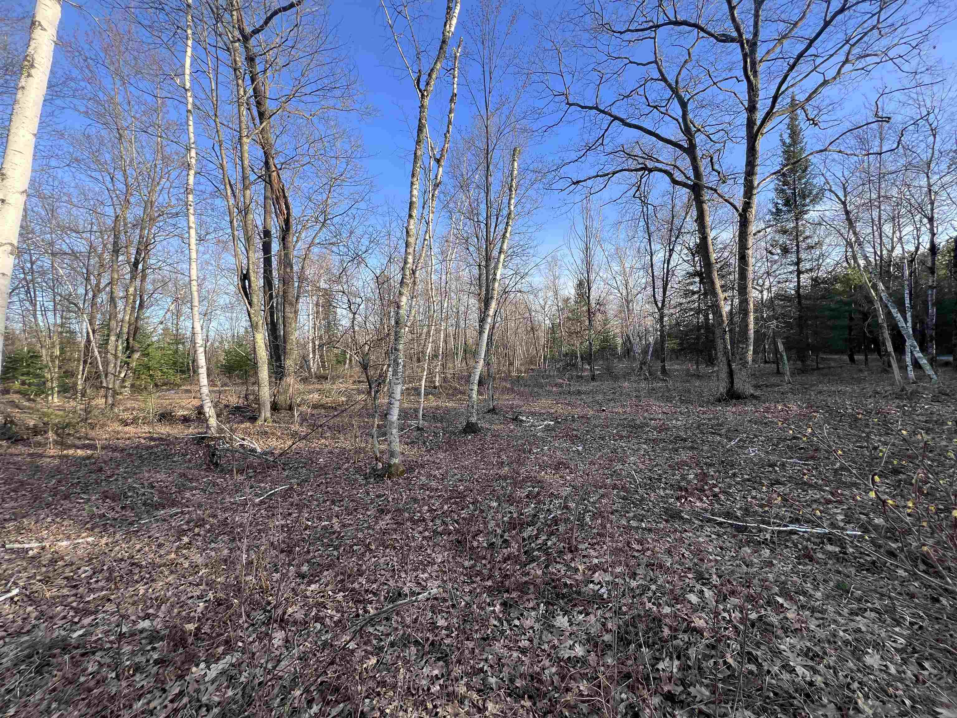 Nejedlo Road, Unit 4 Wausaukee, WI 54177 - Photo 2 of 6