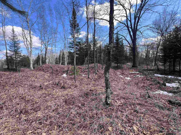 $37,500 | Nejedlo Road, Unit 4, Wausaukee, WI 54177