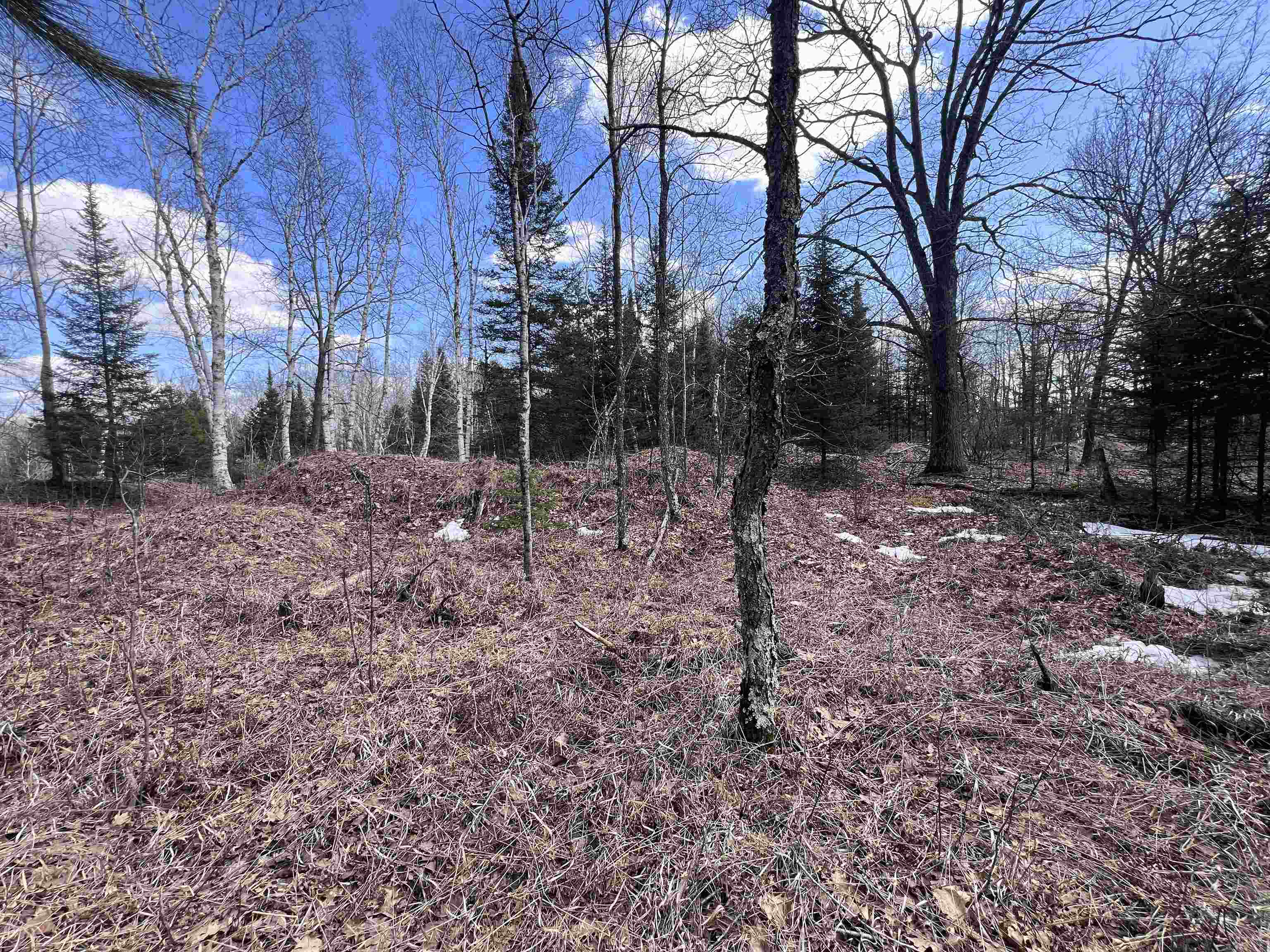 Nejedlo Road, Unit 4 Wausaukee, WI 54177 - Photo 3 of 5