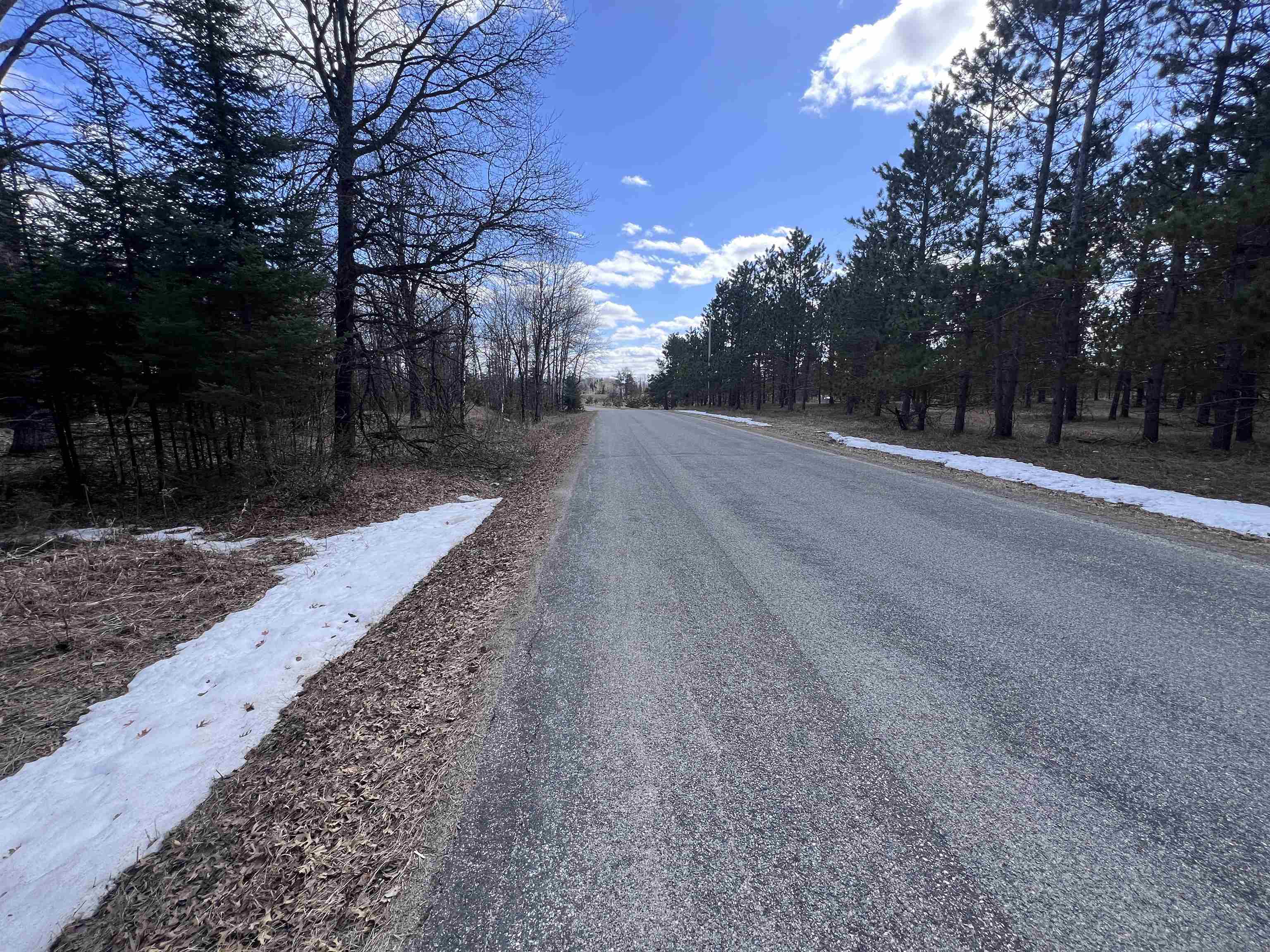 Nejedlo Road, Unit 4 Wausaukee, WI 54177 - Photo 4 of 5