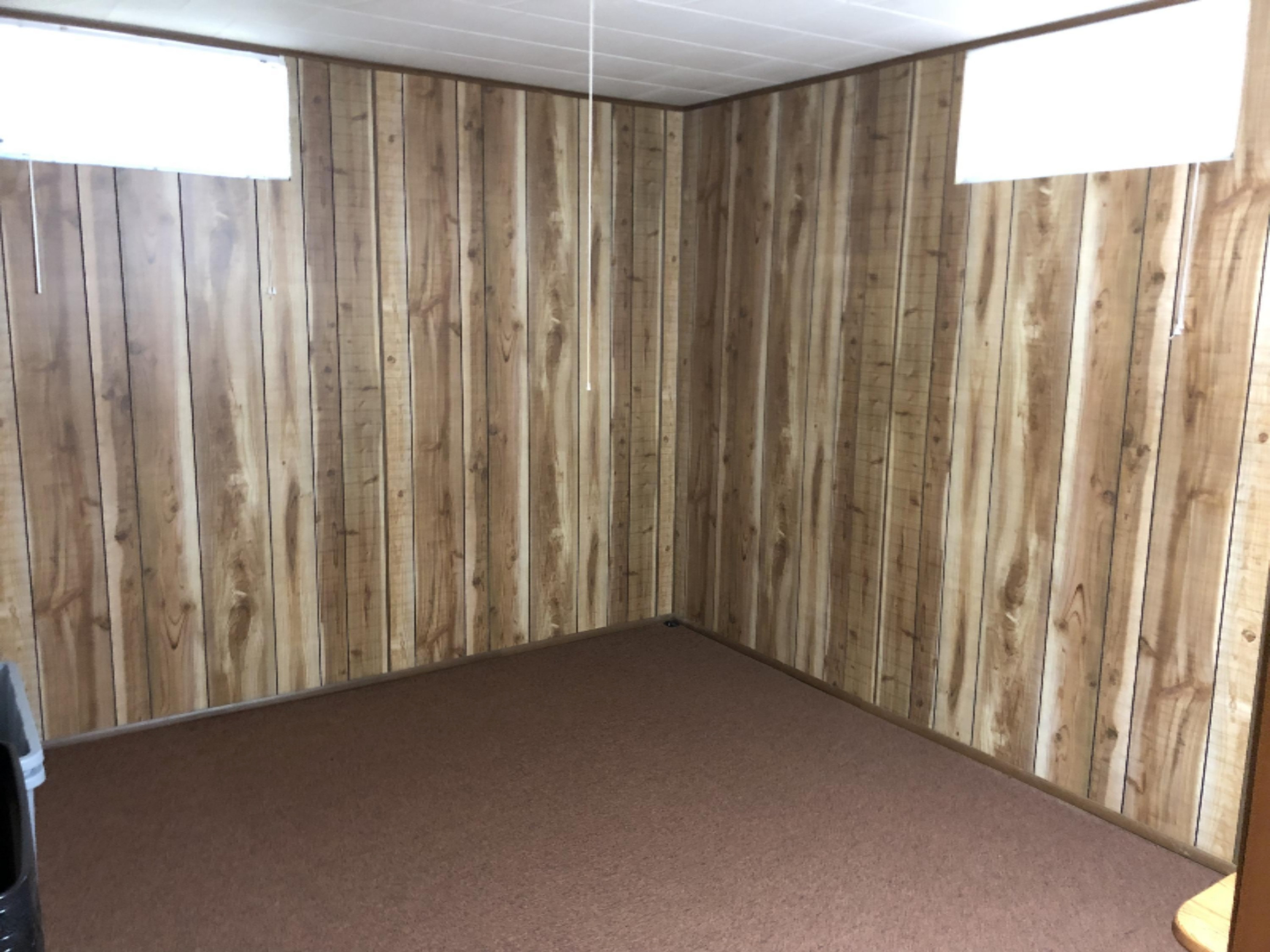4219 North High Bridge Road Brethren, MI 49619 - Photo 20 of 36 Finished room in basement