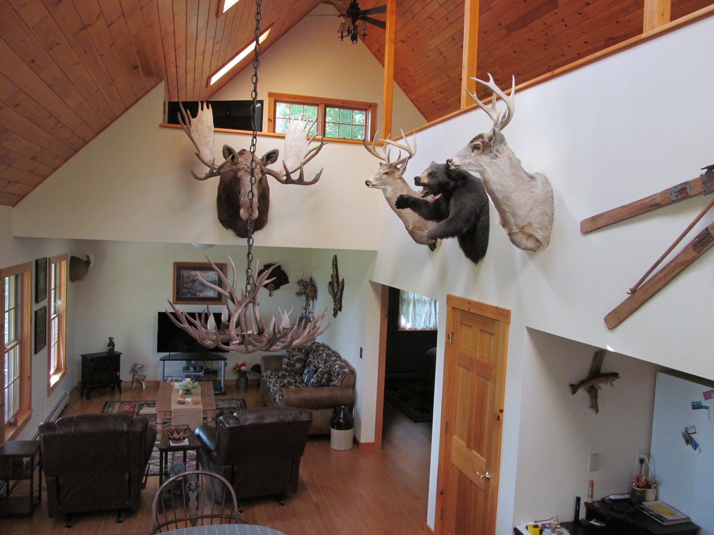 1245 West Side Road Weld, ME 04285 - Photo 28 of 83 IMG_1369