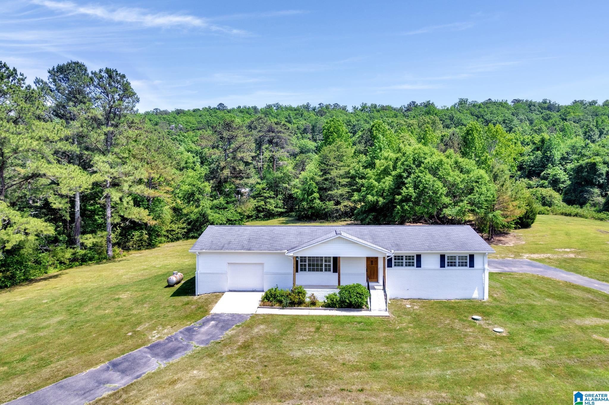 1288 Champion Road Oneonta, AL 35121 - Photo 3 of 34