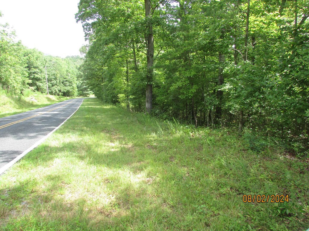 0 Carter Cove Road Hayesville, NC 28904 - Photo 6 of 6 Gallery Image 6