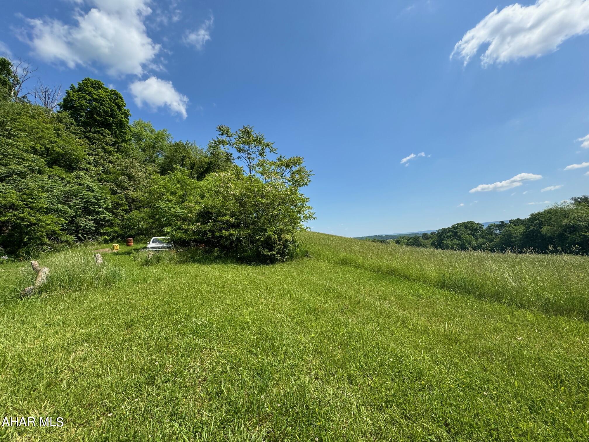 Off Kettle Road New Enterprise, PA 16664 - Photo 4 of 22