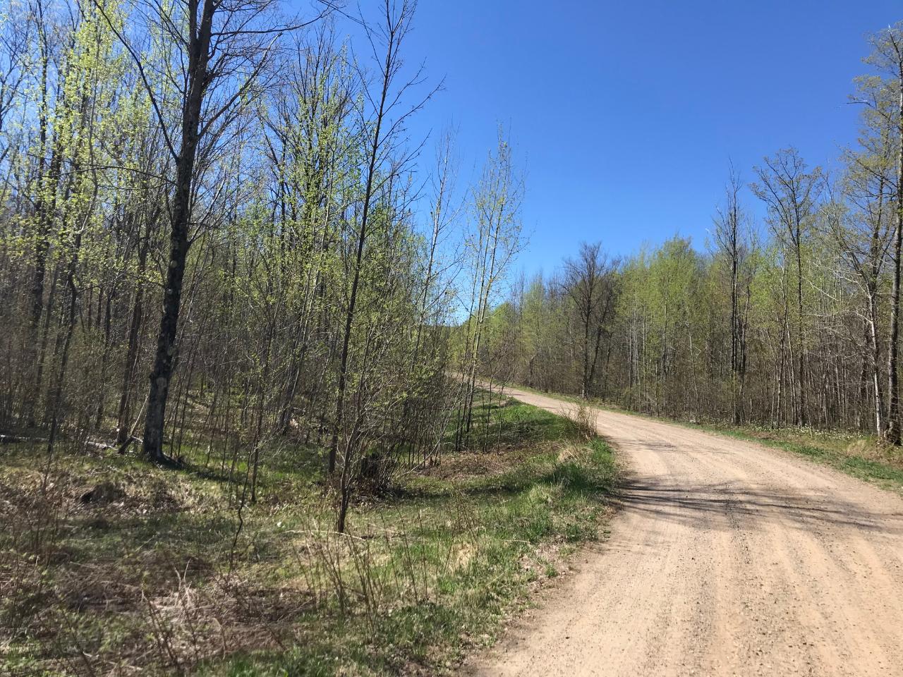 On Glacier Ridge Road, Unit 8 1 ACRES Crandon, WI 54520 - Photo 5 of 5 Gallery Image 5