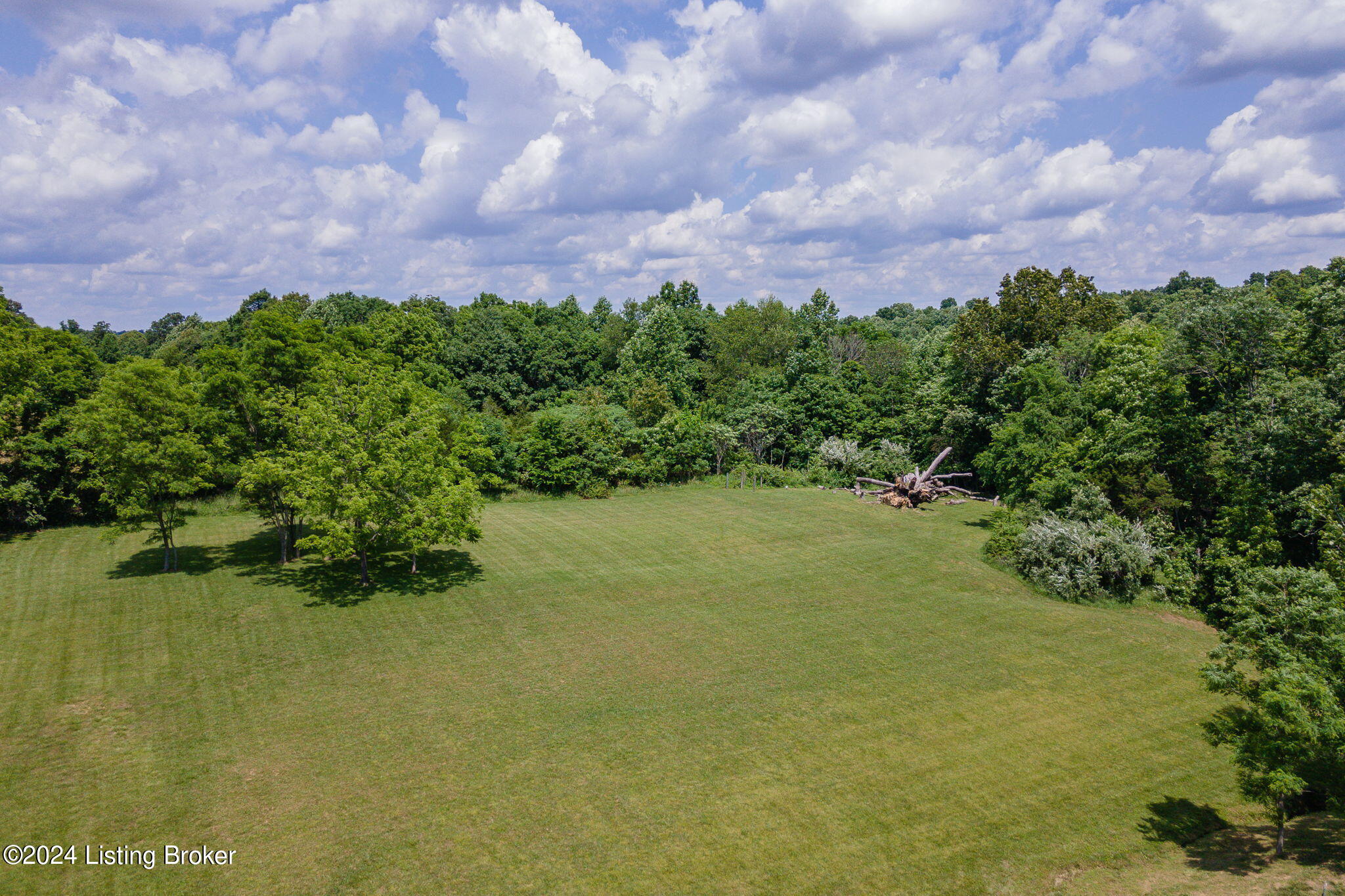 14415 Salt River Road Eastview, KY 42732 - Photo 9 of 11 9-web-or-mls-14415-salt-river-rd