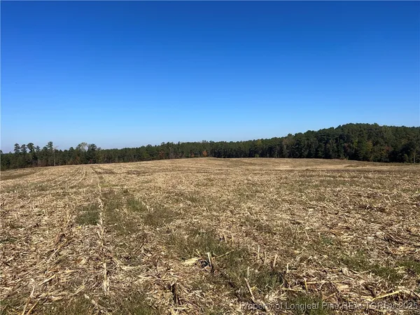 a view of lake and mountain