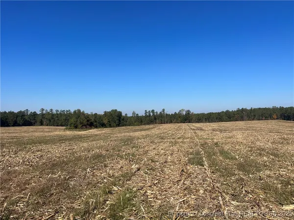 $500,200 | 15894 Highway 24, Eagle Springs, NC 27242