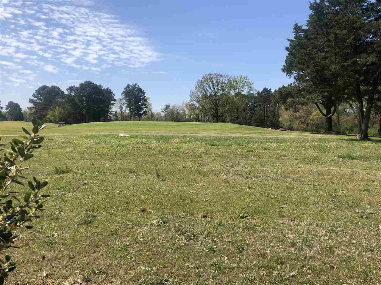 3035 Caney Branch Road Adamsville, TN 38310 - Photo 21 of 22 Gallery Image 21