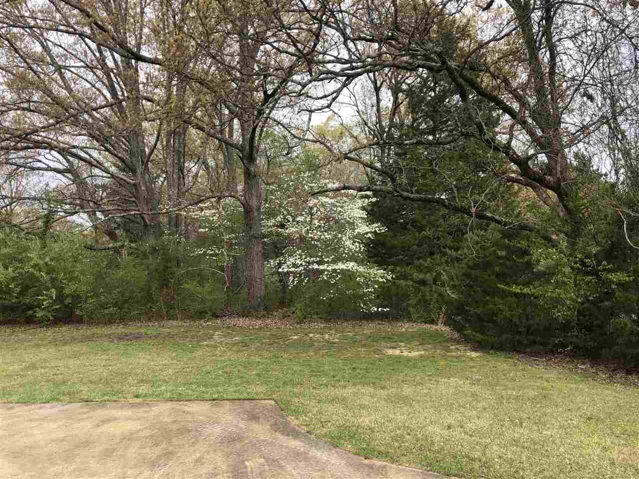 3035 Caney Branch Road Adamsville, TN 38310 - Photo 22 of 22 Gallery Image 22