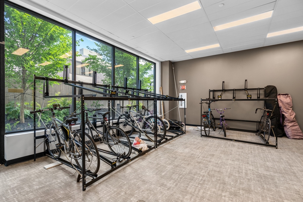 50 Leo M Birmingham Parkway, Unit 506 Boston, MA 02135 - Photo 10 of 10 a bed room with furniture and a window