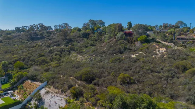 an aerial view of mountain with trees all around