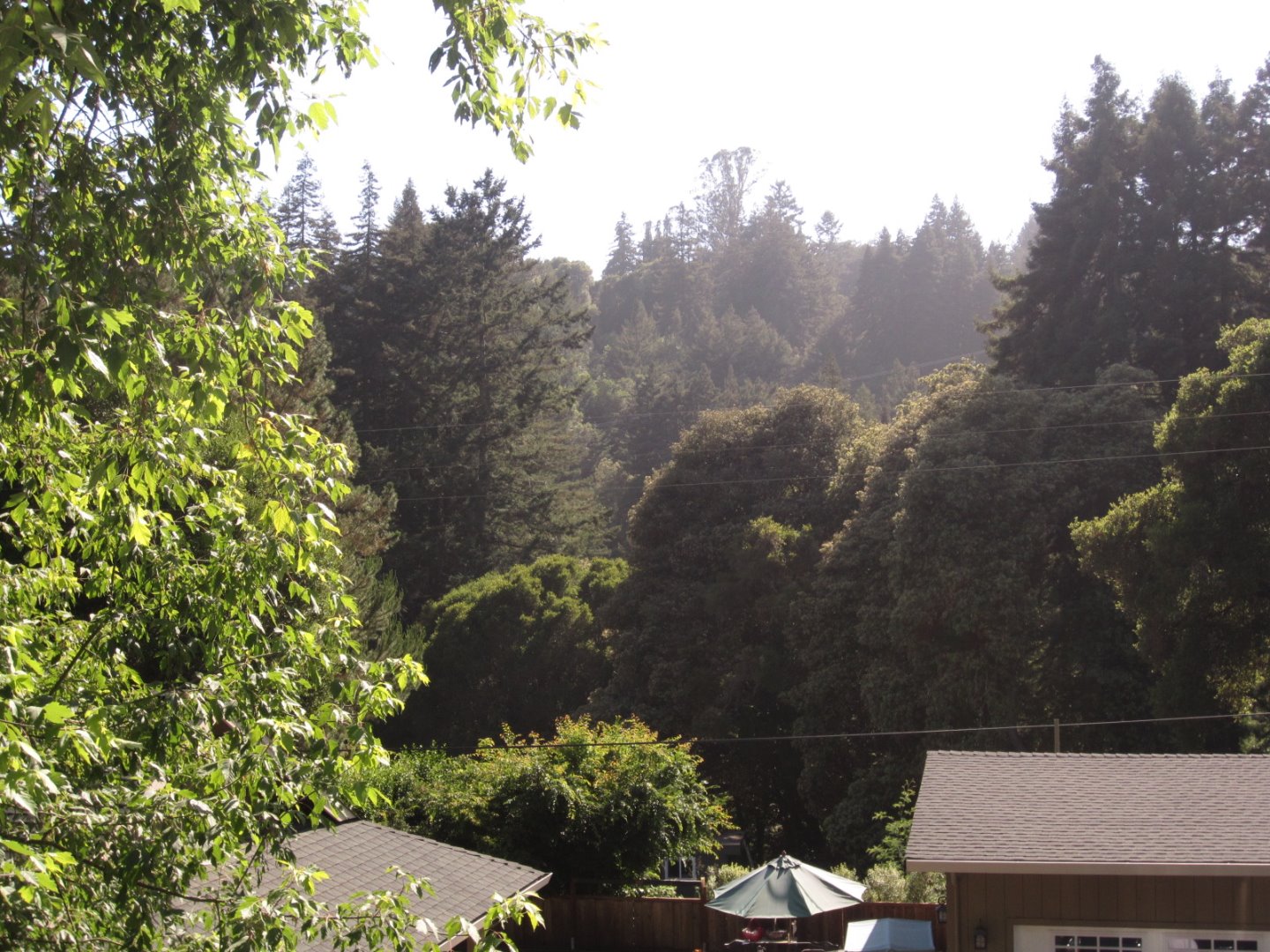 475 Flume Road Aptos, CA 95003 - Photo 4 of 26 Gallery Image 4