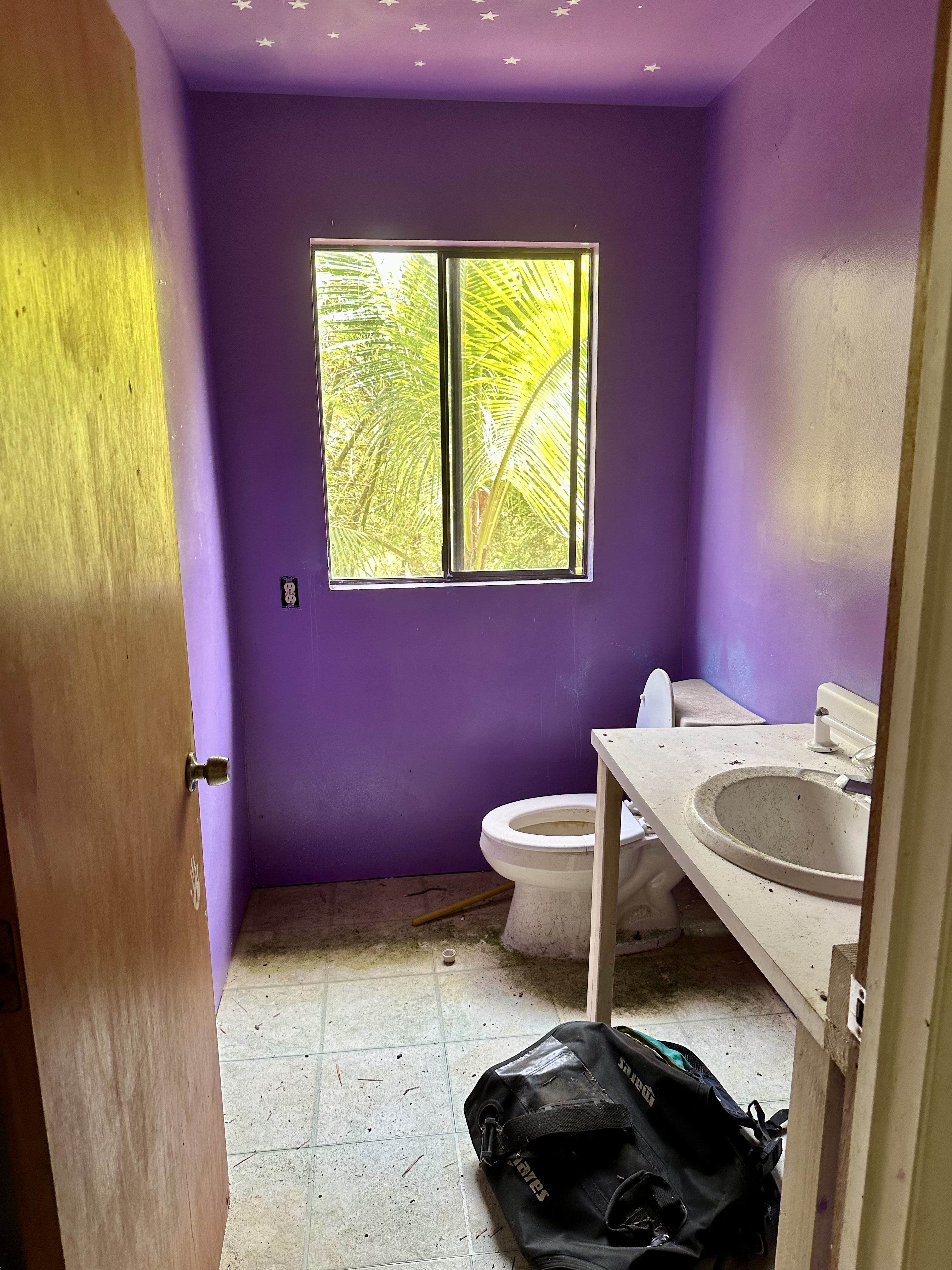 15-1105 Ama U Road Keaau, HI 96749 - Photo 12 of 29 a bathroom with a sink and a toilet