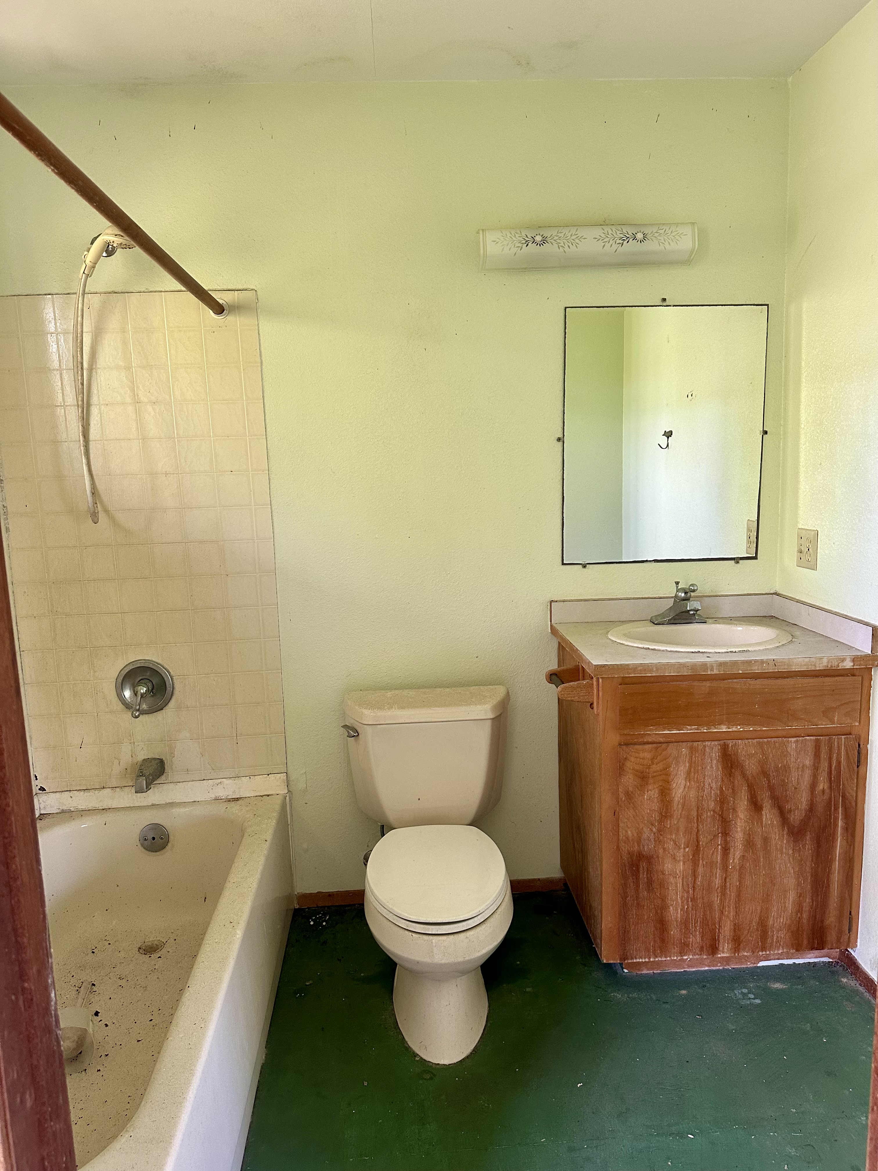 15-1105 Ama U Road Keaau, HI 96749 - Photo 19 of 29 a bathroom with a sink a toilet and shower