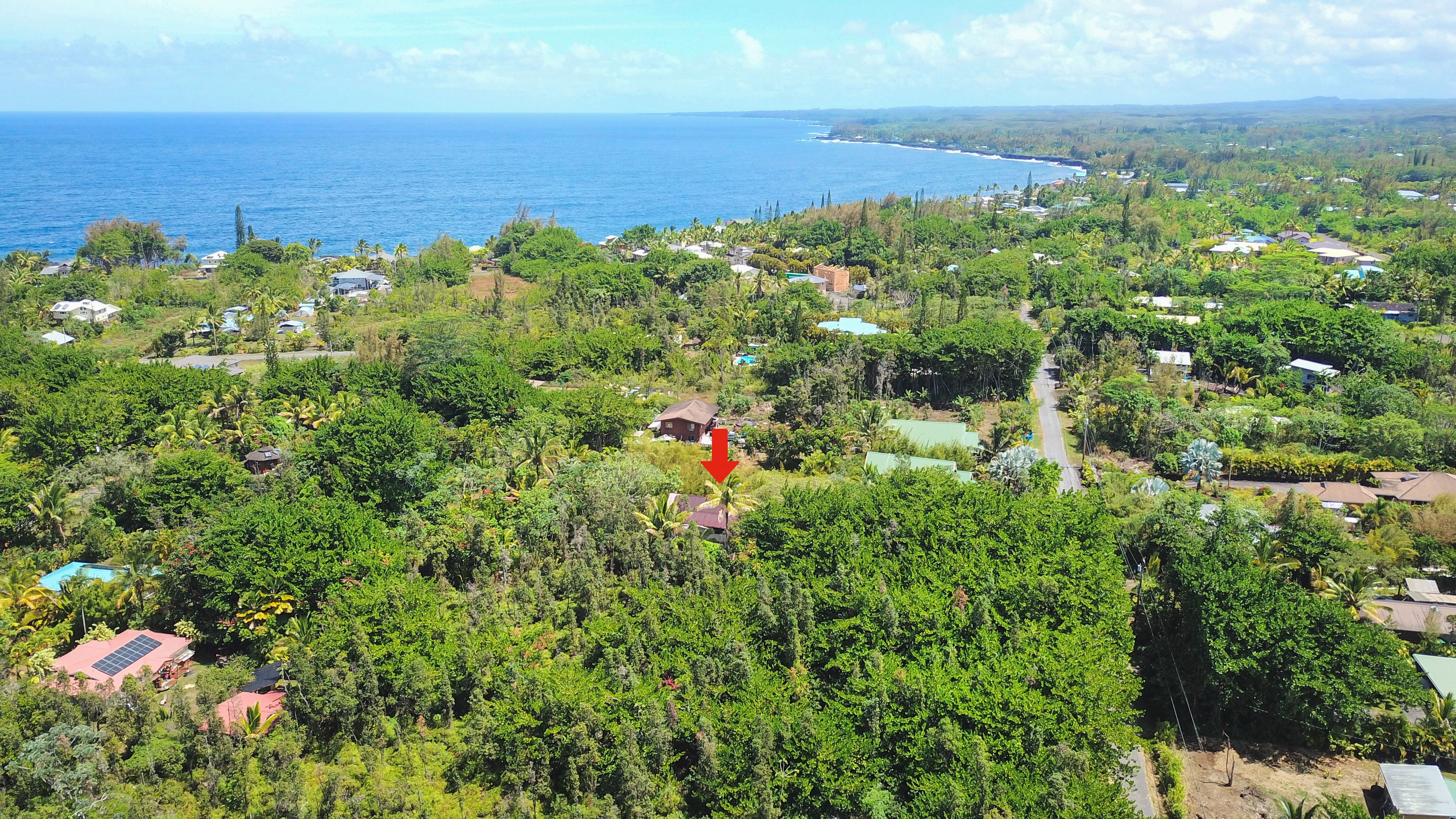 15-1105 Ama U Road Keaau, HI 96749 - Photo 2 of 29 a view of a city