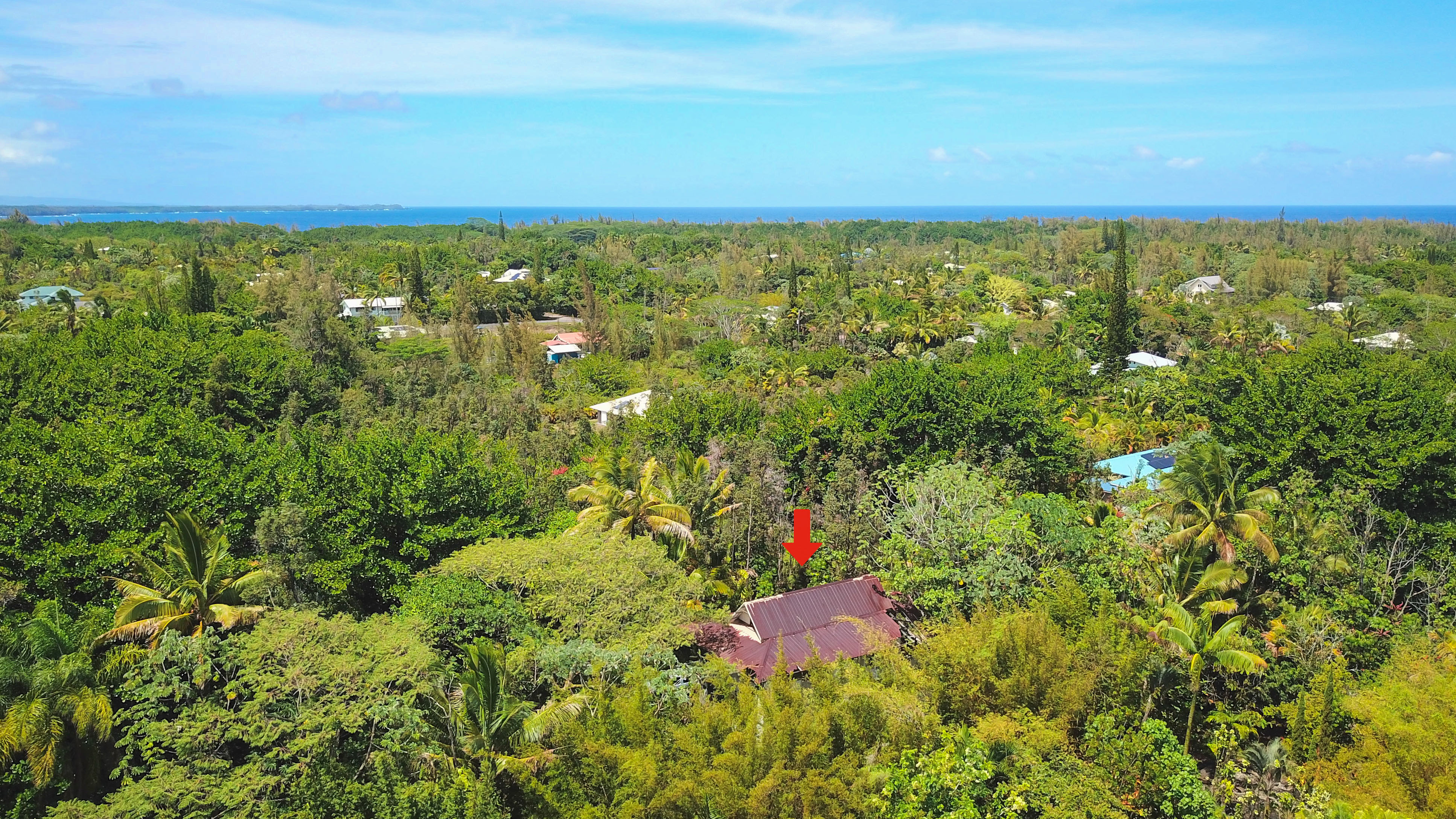 15-1105 Ama U Road Keaau, HI 96749 - Photo 3 of 29