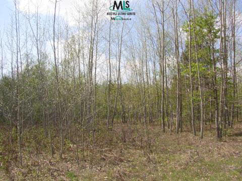 0 Joshua Road Cass City, MI 48726 - Photo 6 of 6 879325-5.JPG