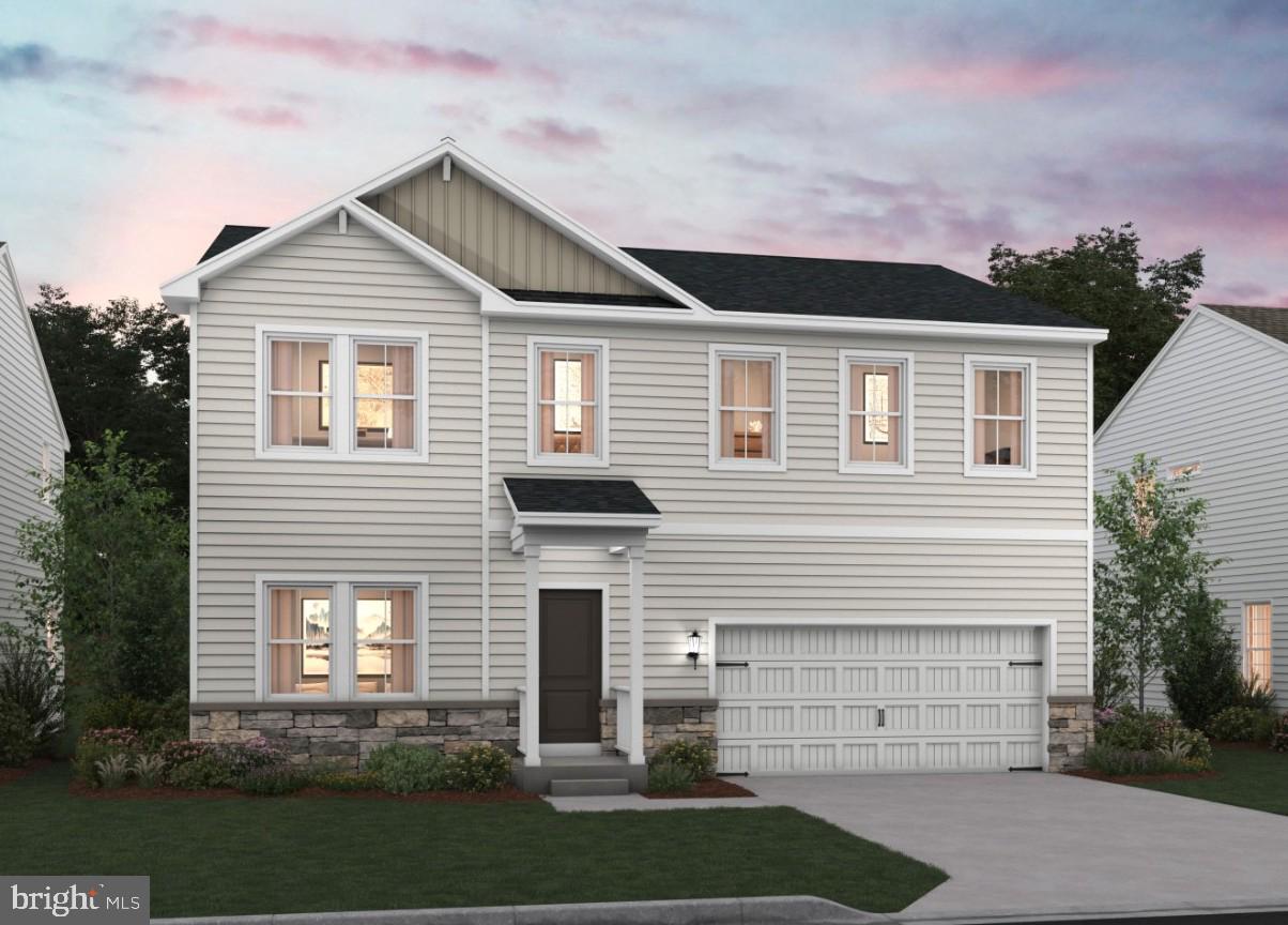 Water Lily Elevation CAS Stone