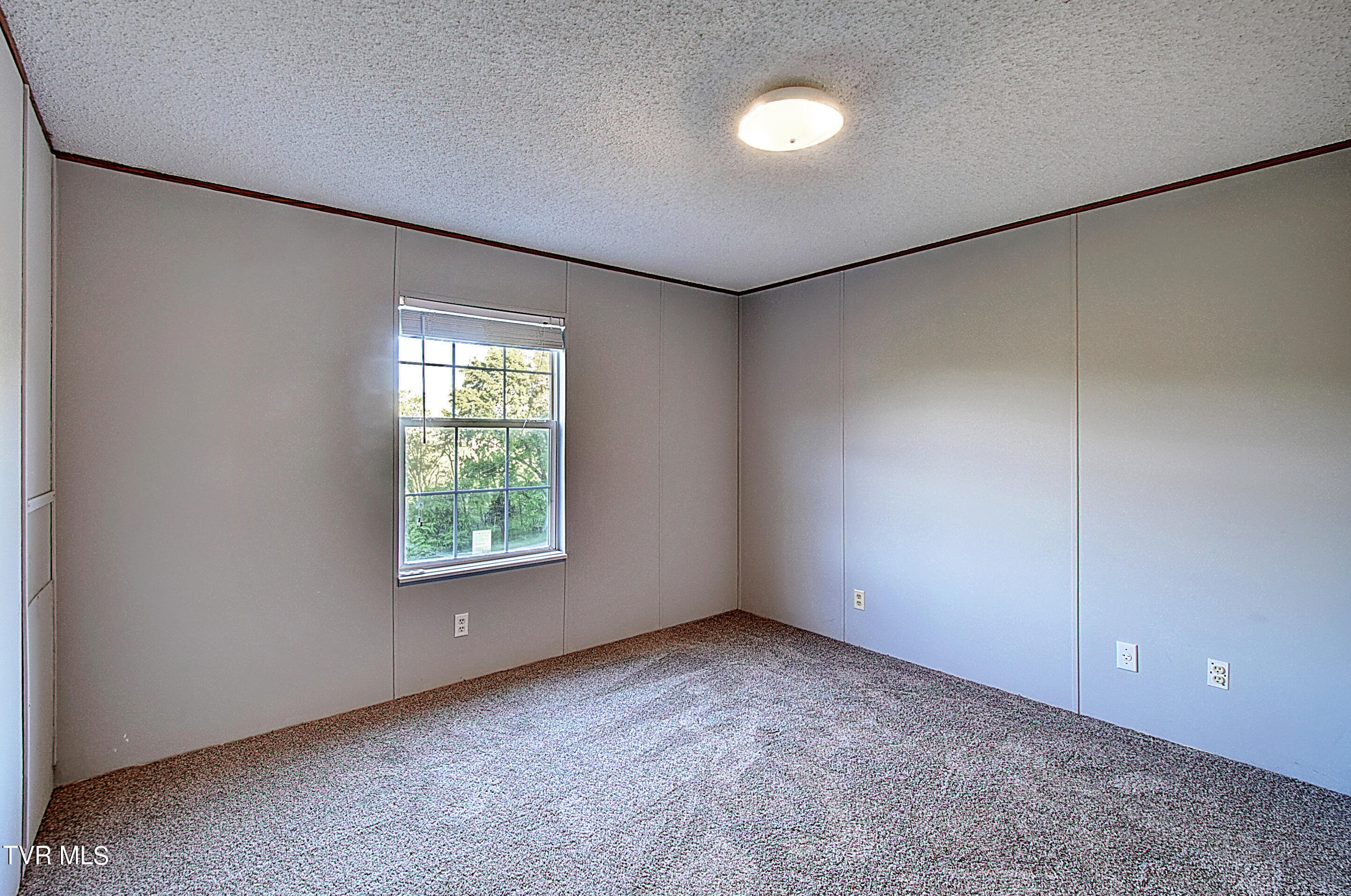 115 Campbell Rash Road Elizabethton, TN 37643 - Photo 33 of 39 DSC_0520And8more