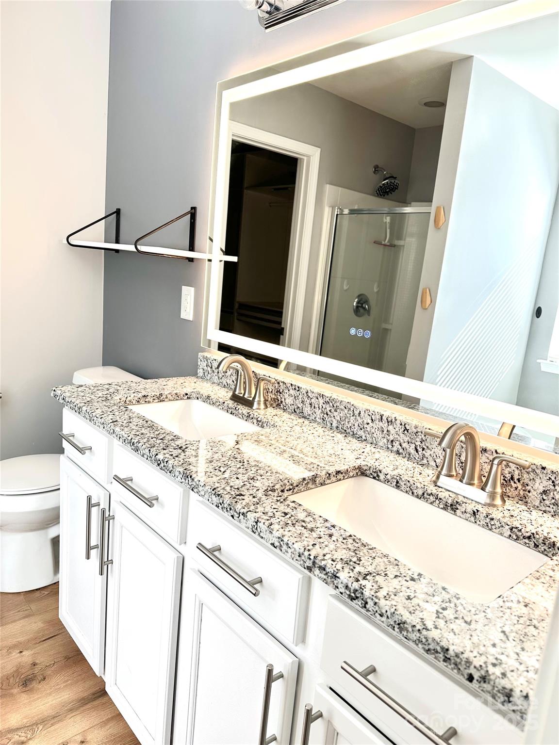 16732 Prairie Falcon Lane Charlotte, NC 28278 - Photo 13 of 18 a bathroom with a granite countertop sink and a mirror