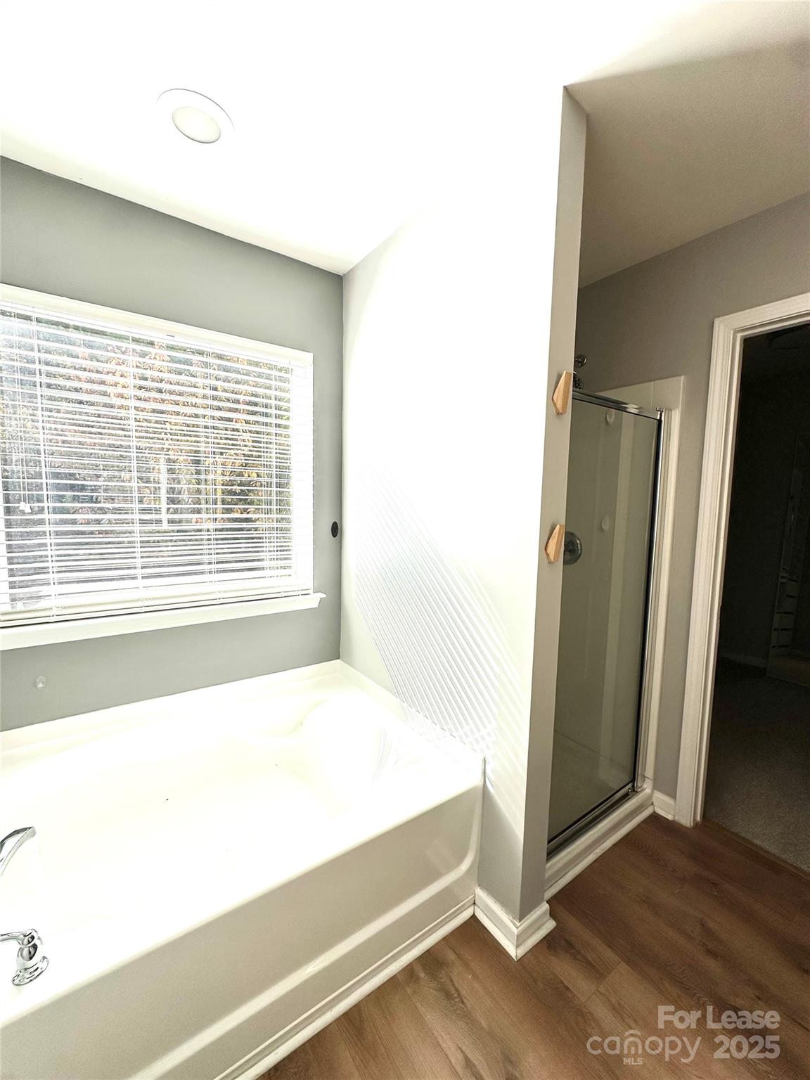 16732 Prairie Falcon Lane Charlotte, NC 28278 - Photo 14 of 18 a spacious bathroom with a bathtub and a shower