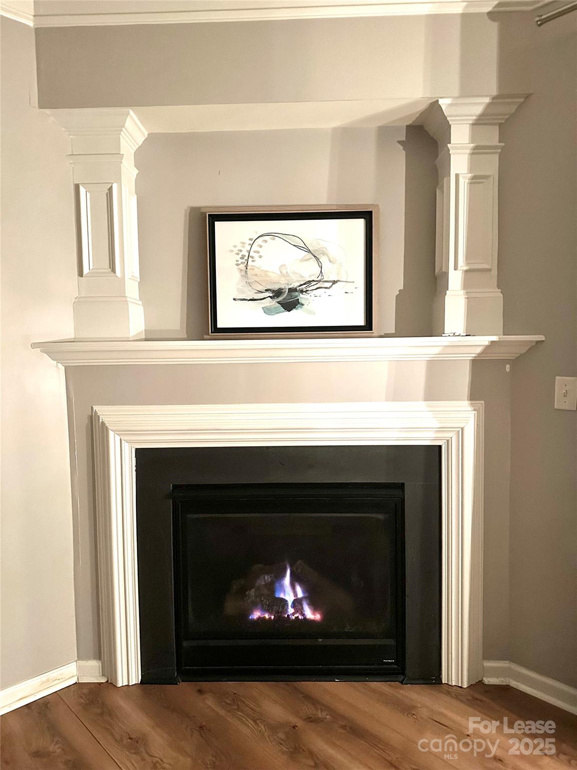 16732 Prairie Falcon Lane Charlotte, NC 28278 - Photo 4 of 18 a living room with a fireplace